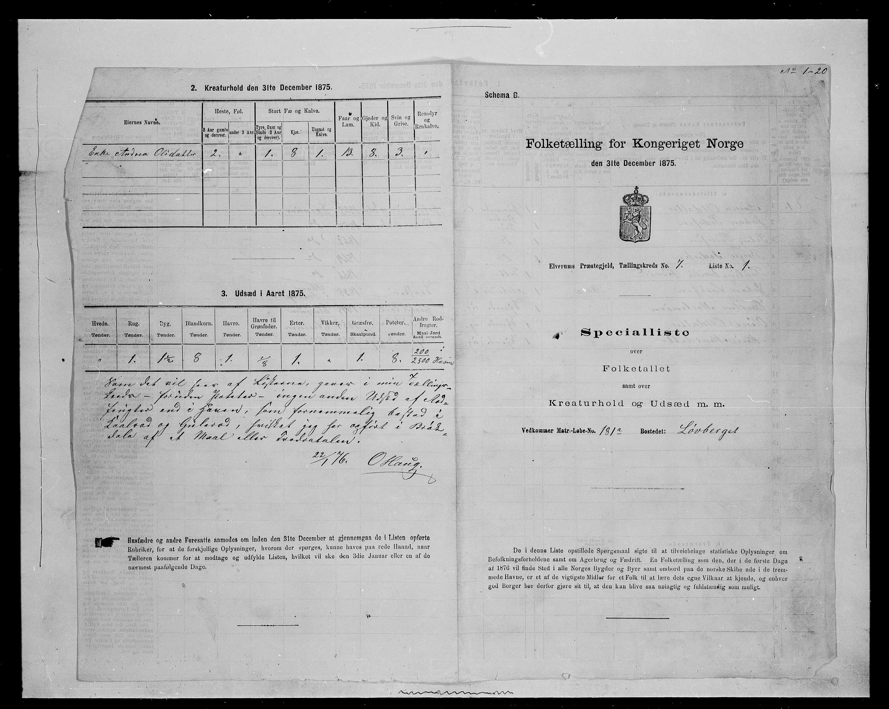 SAH, Folketelling 1875 for 0427P Elverum prestegjeld, 1875, s. 1484