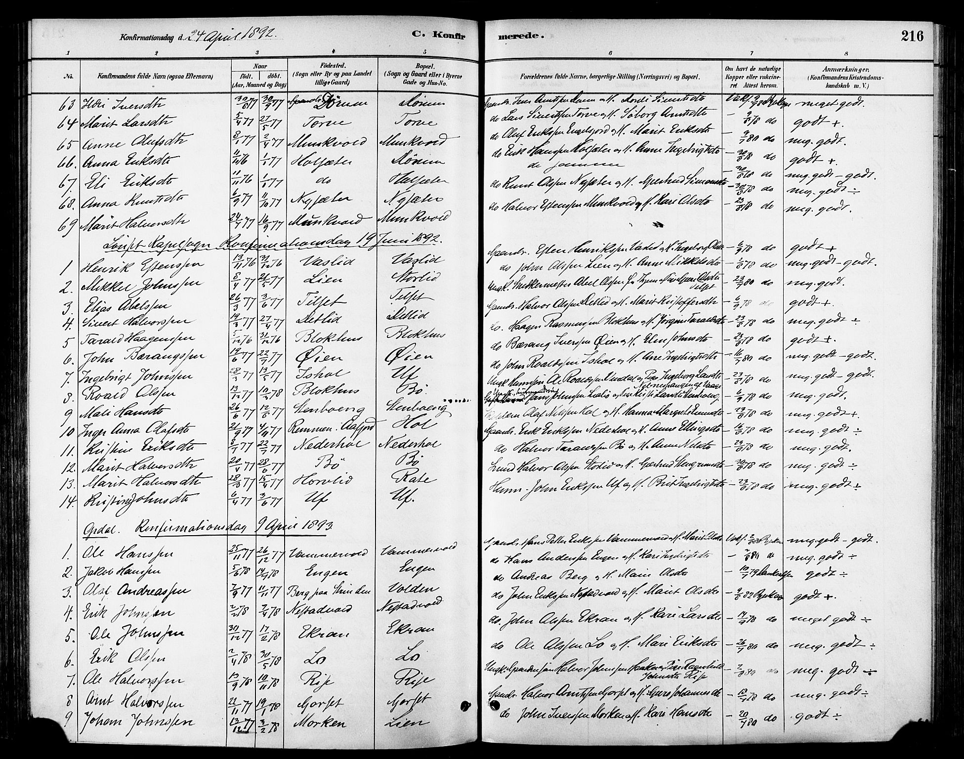 Ministerialprotokoller, klokkerbøker og fødselsregistre - Sør-Trøndelag, AV/SAT-A-1456/678/L0901: Ministerialbok nr. 678A10, 1881-1894, s. 216