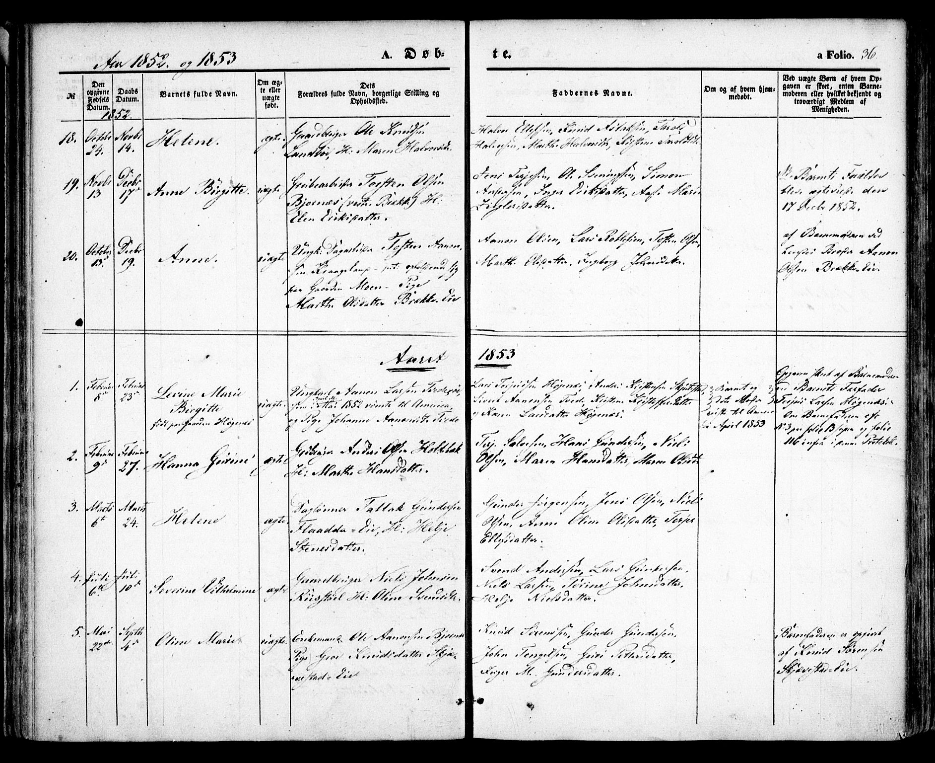 Austre Moland sokneprestkontor, SAK/1111-0001/F/Fa/Faa/L0007: Ministerialbok nr. A 7, 1847-1857, s. 36