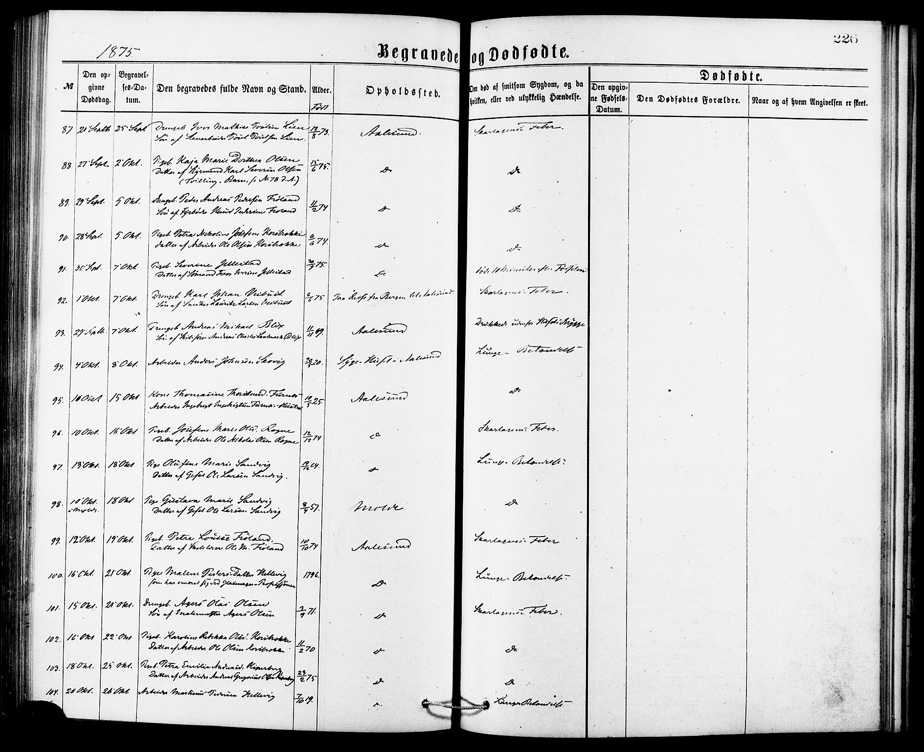 Ministerialprotokoller, klokkerbøker og fødselsregistre - Møre og Romsdal, AV/SAT-A-1454/529/L0453: Ministerialbok nr. 529A03, 1872-1877, s. 226