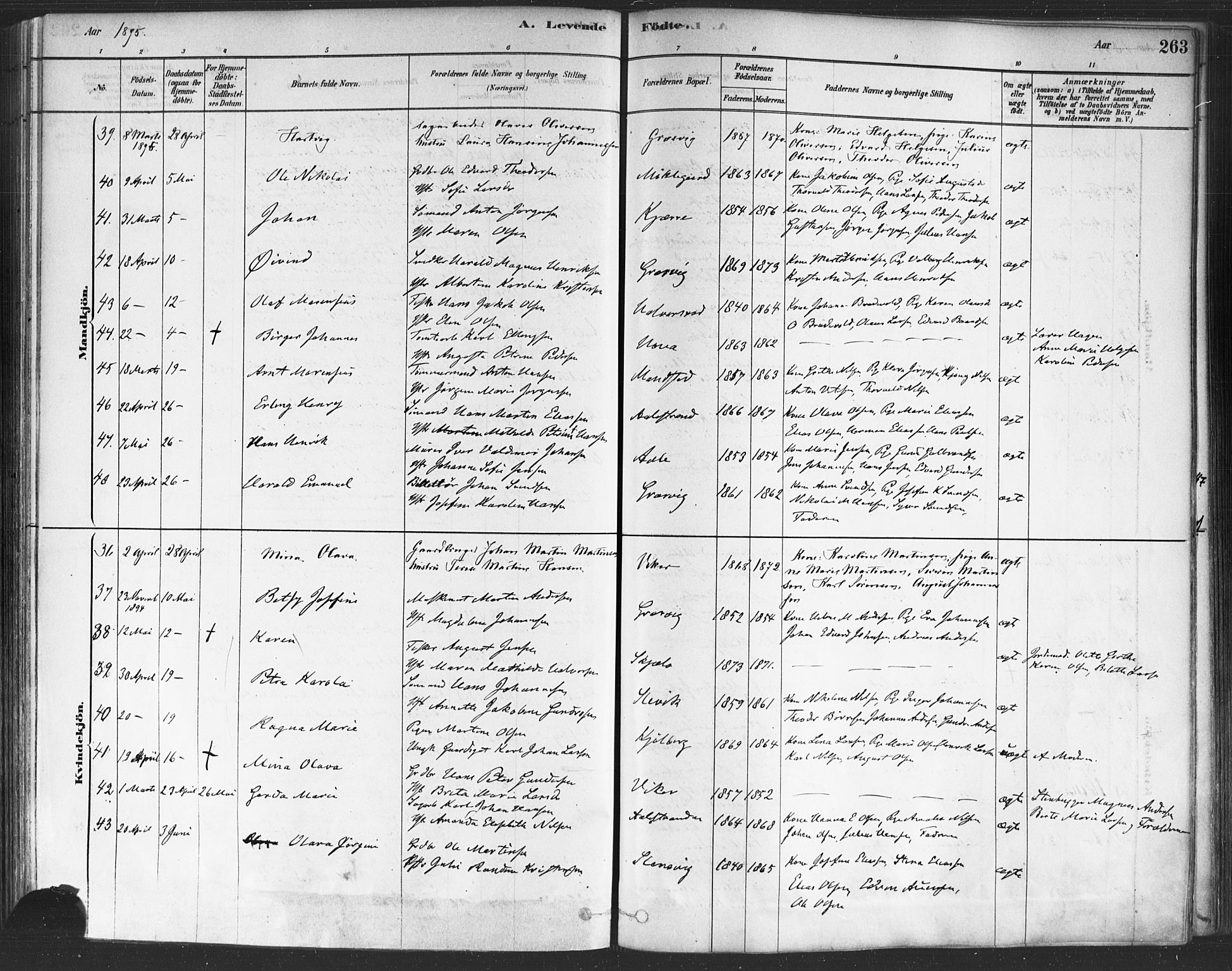Onsøy prestekontor Kirkebøker, AV/SAO-A-10914/F/Fa/L0005: Ministerialbok nr. I 5, 1878-1898, s. 263
