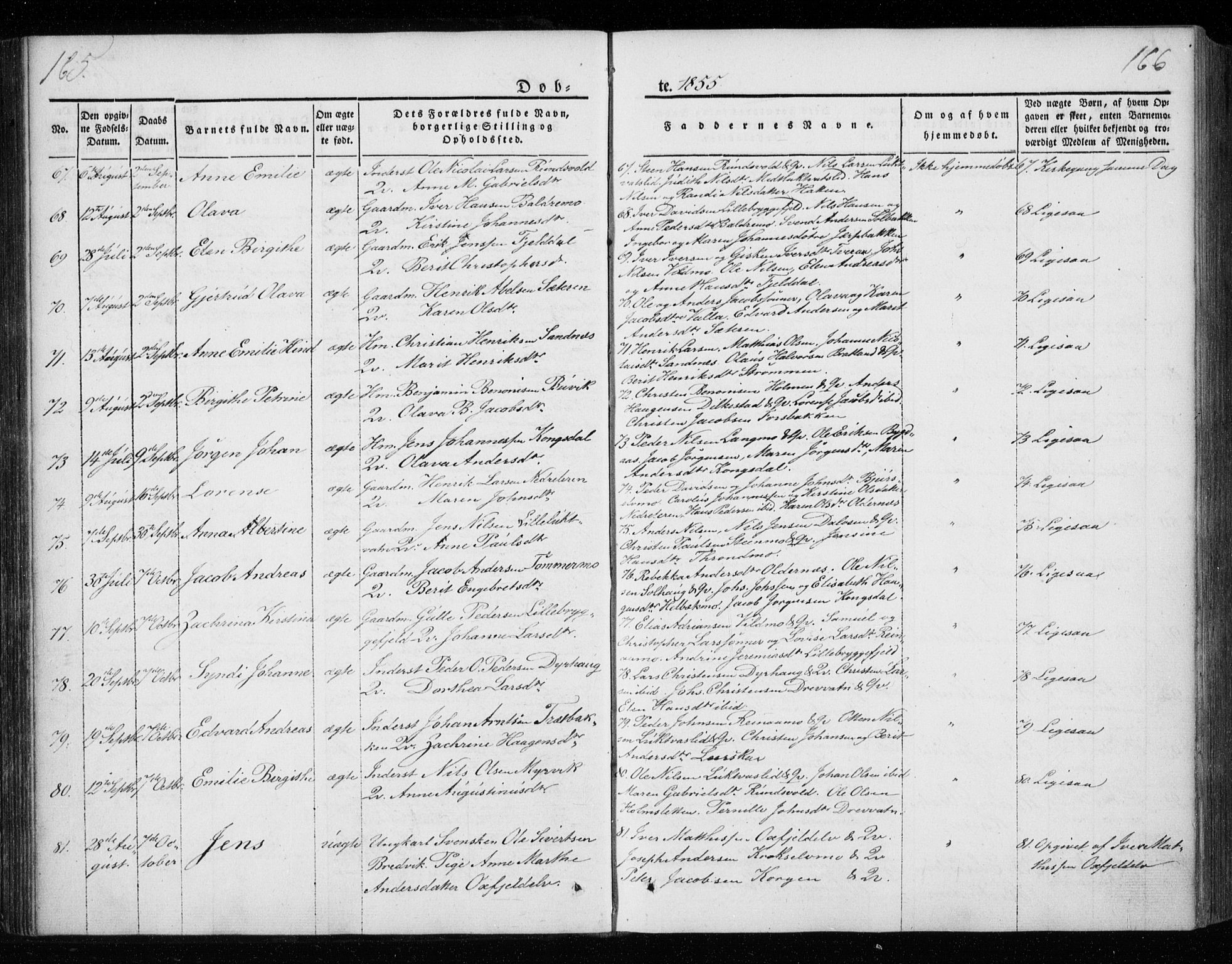 Ministerialprotokoller, klokkerbøker og fødselsregistre - Nordland, AV/SAT-A-1459/825/L0355: Ministerialbok nr. 825A09, 1842-1863, s. 165-166