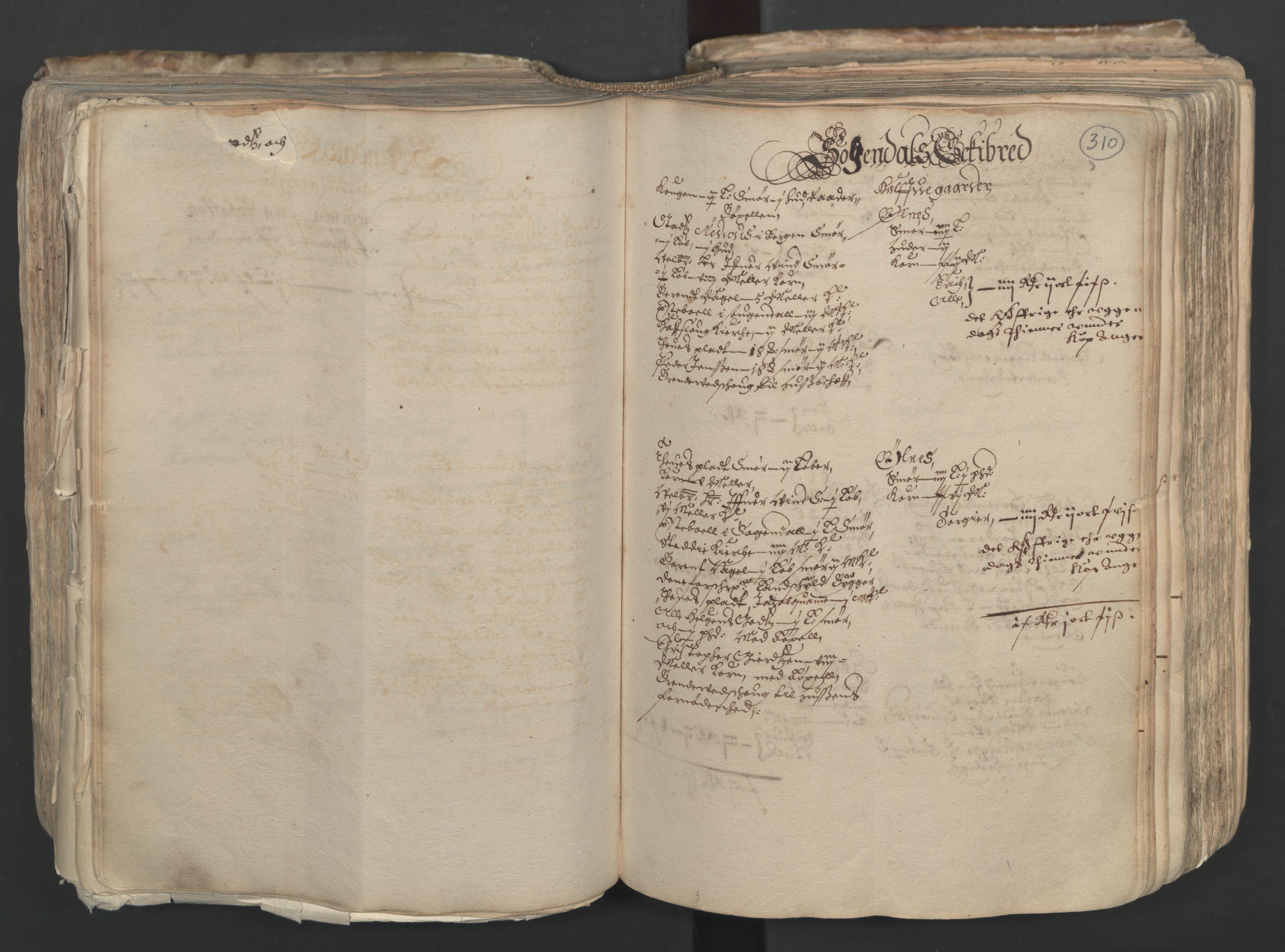 Rentekammeret inntil 1814, Realistisk ordnet avdeling, AV/RA-EA-4070/L/L0024/0001: Bergen lagdømme: / [A]: Alminnelig jordebok og skattemanntall (6 dalers kontribusjonsskatt). Sunnhordland, Hardanger, Nordhordland, Voss, Indre Sogn, Ytre Sogn, Sunnfjord, Nordfjord og Sunnmøre fogderi., 1661, s. 309b-310a