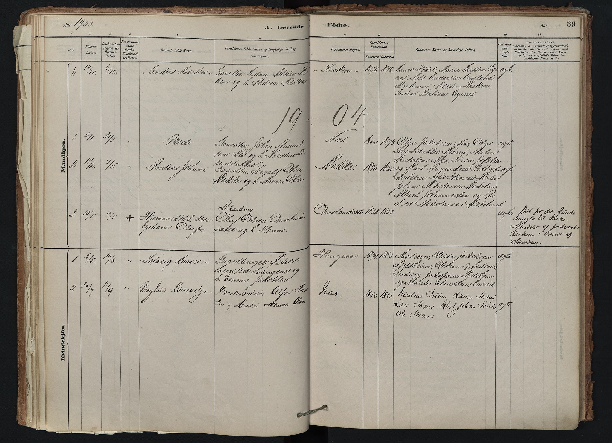 Brunlanes kirkebøker, SAKO/A-342/F/Fd/L0001: Ministerialbok nr. IV 1, 1878-1917, s. 39