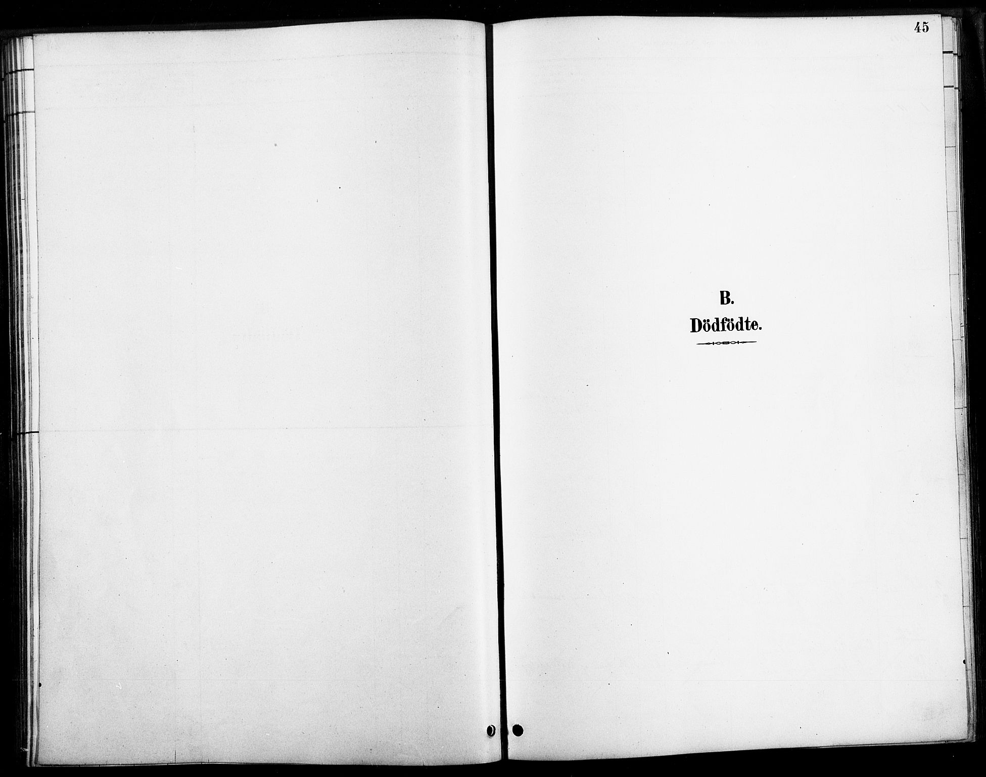 Bygland sokneprestkontor, SAK/1111-0006/F/Fa/Faa/L0001: Ministerialbok nr. A 1, 1885-1908, s. 45
