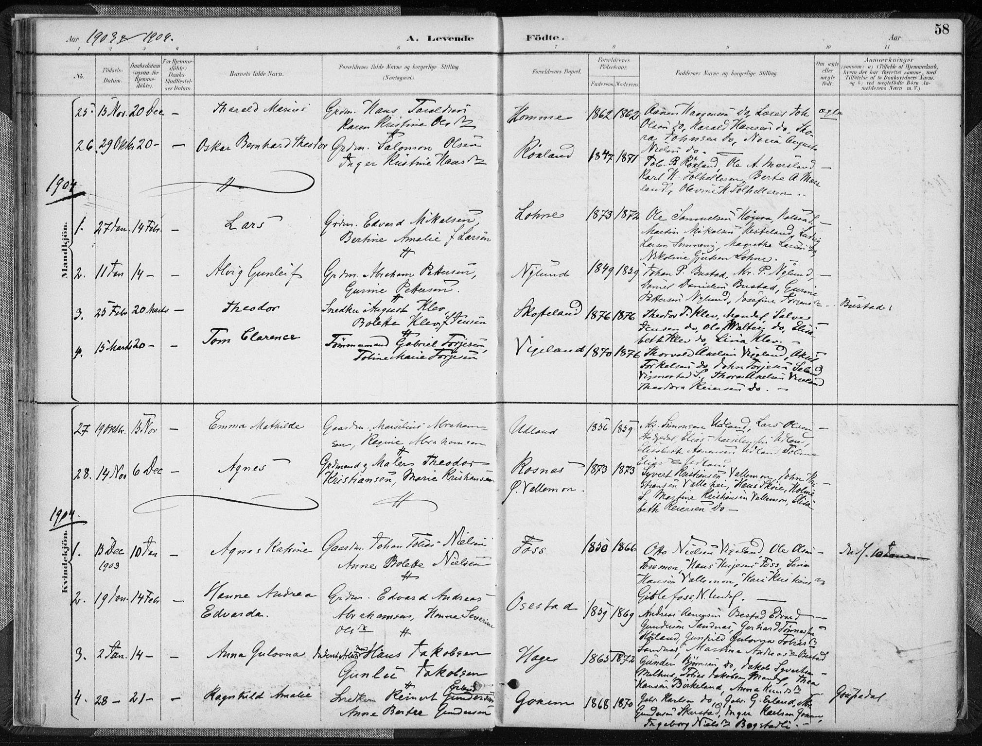 Sør-Audnedal sokneprestkontor, AV/SAK-1111-0039/F/Fa/Fab/L0010: Ministerialbok nr. A 10, 1892-1913, s. 58