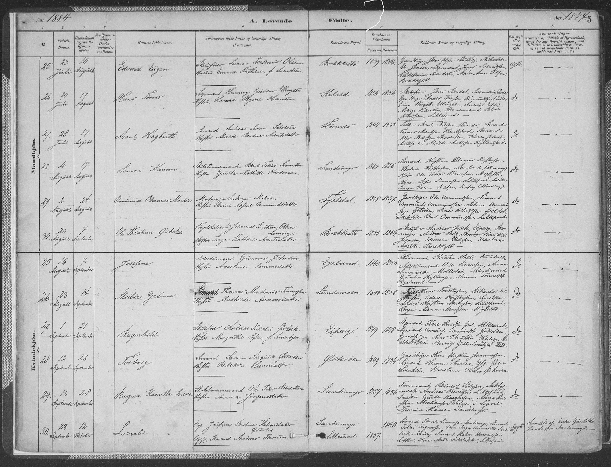 Vestre Moland sokneprestkontor, AV/SAK-1111-0046/F/Fa/Fab/L0009: Ministerialbok nr. A 9, 1884-1899, s. 5