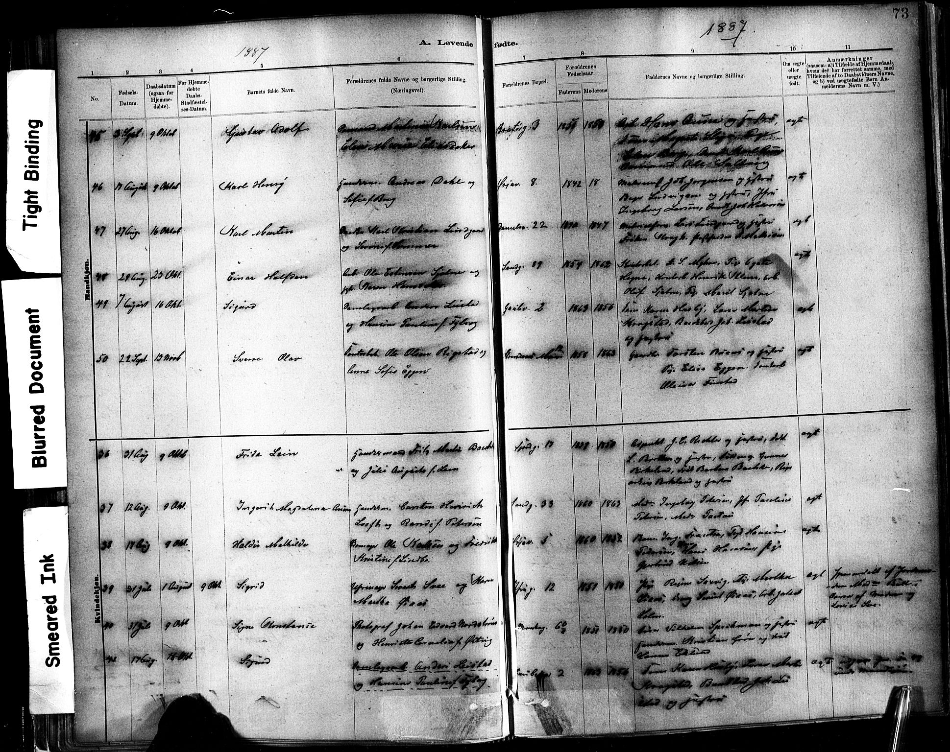 Ministerialprotokoller, klokkerbøker og fødselsregistre - Sør-Trøndelag, SAT/A-1456/602/L0119: Ministerialbok nr. 602A17, 1880-1901, s. 73