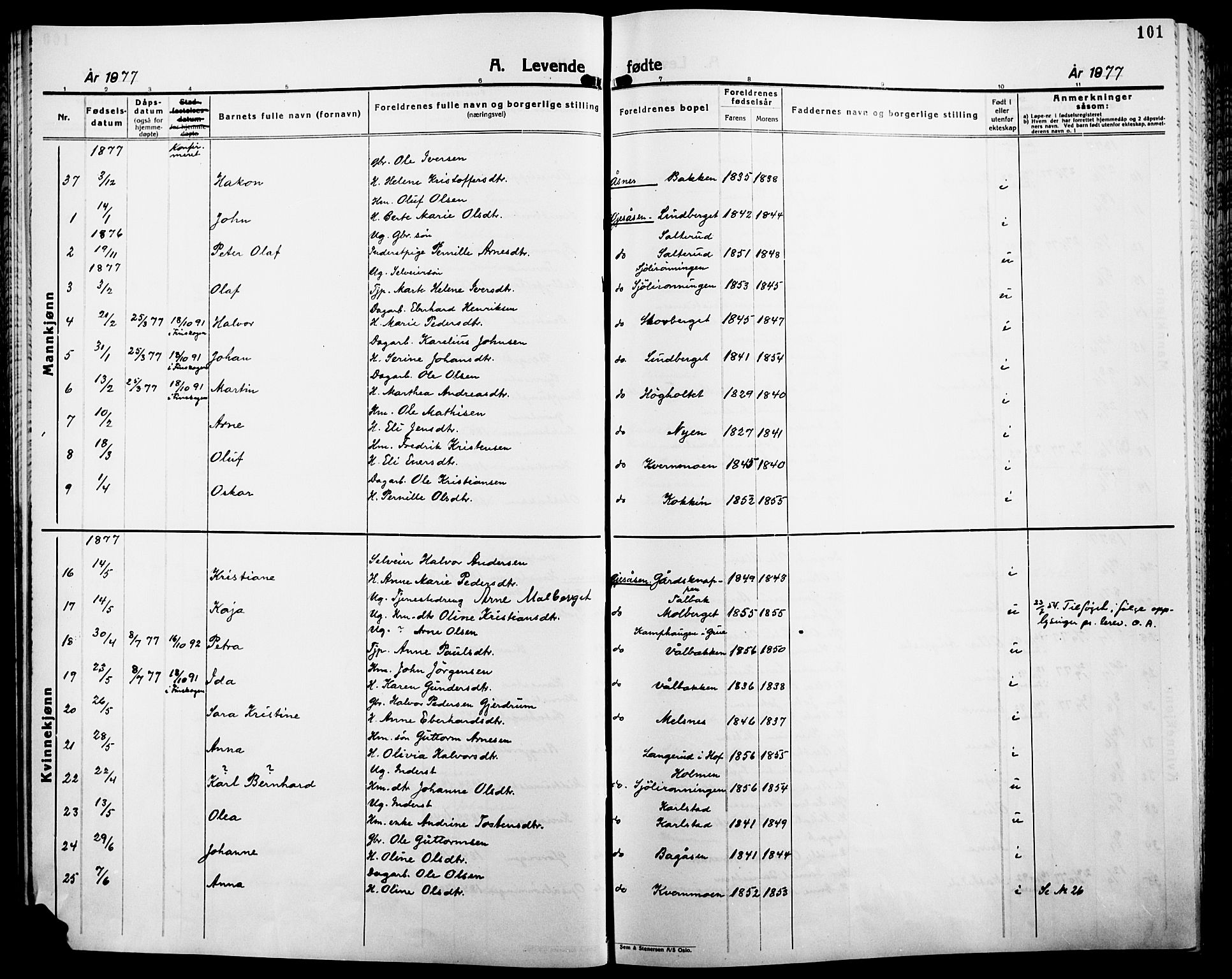 Åsnes prestekontor, AV/SAH-PREST-042/H/Ha/Haa/L0000B: Ministerialbok, 1870-1889, s. 101