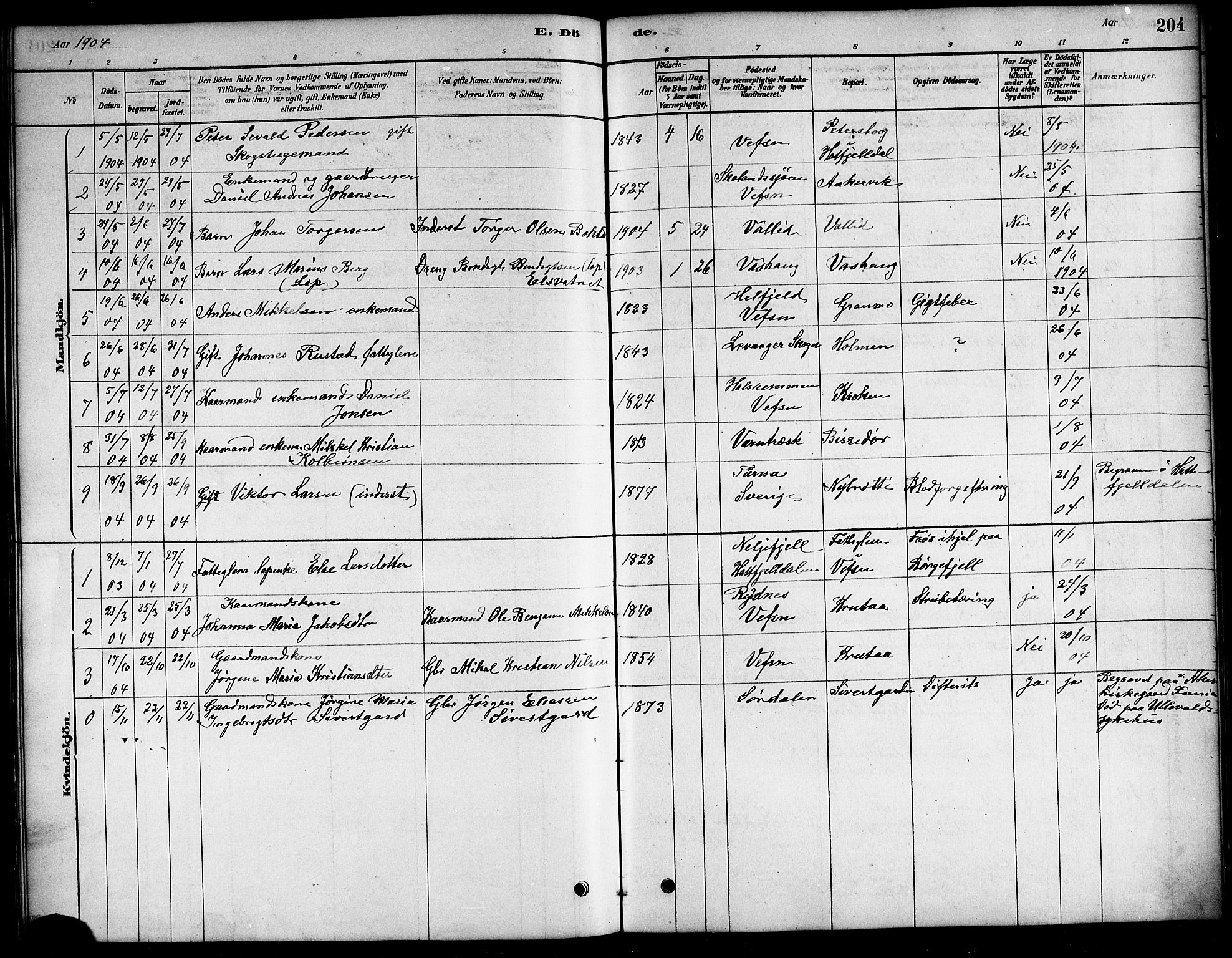 Ministerialprotokoller, klokkerbøker og fødselsregistre - Nordland, AV/SAT-A-1459/823/L0330: Klokkerbok nr. 823C02, 1879-1916, s. 204