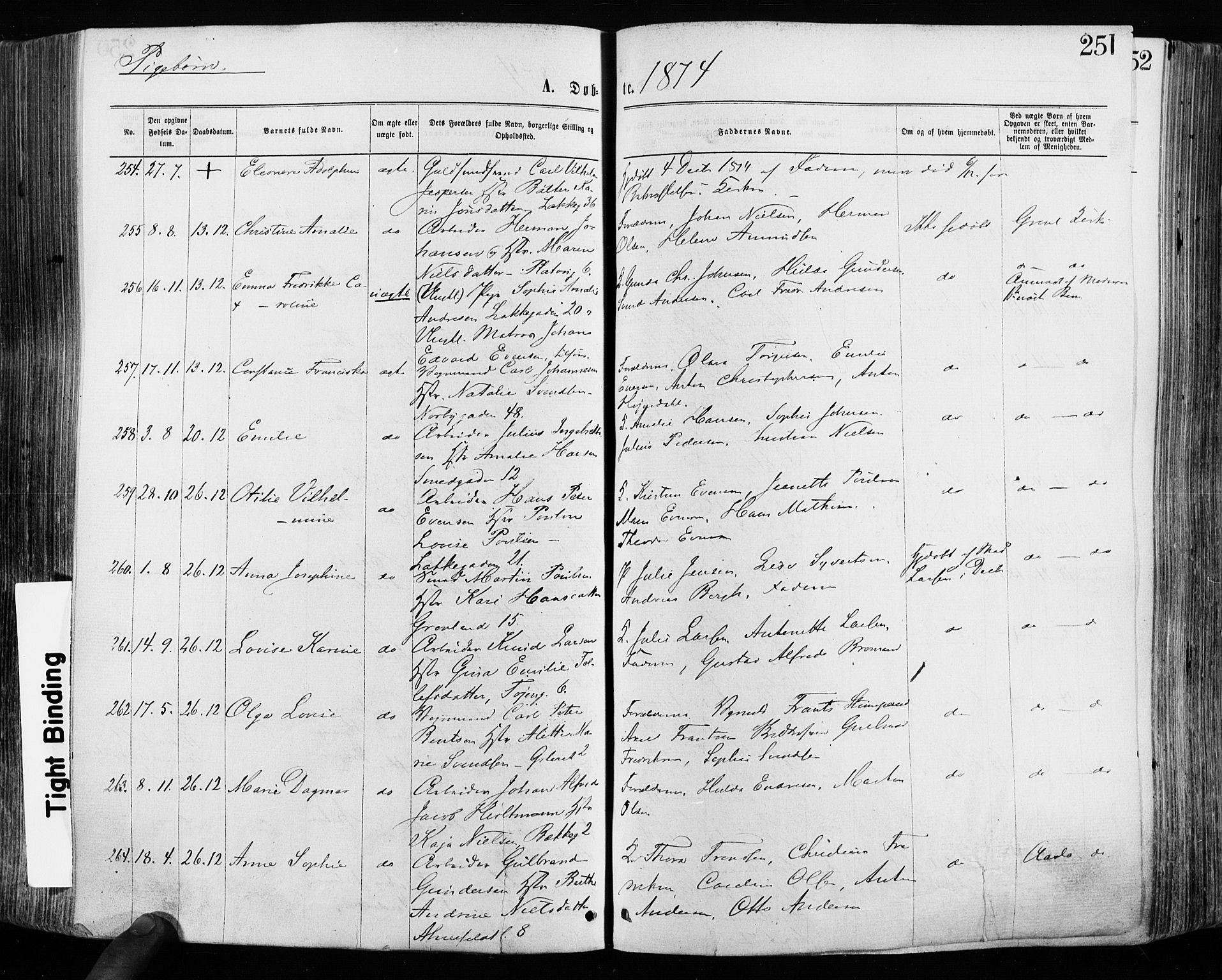 Grønland prestekontor Kirkebøker, AV/SAO-A-10848/F/Fa/L0004: Ministerialbok nr. 4, 1869-1880, s. 251