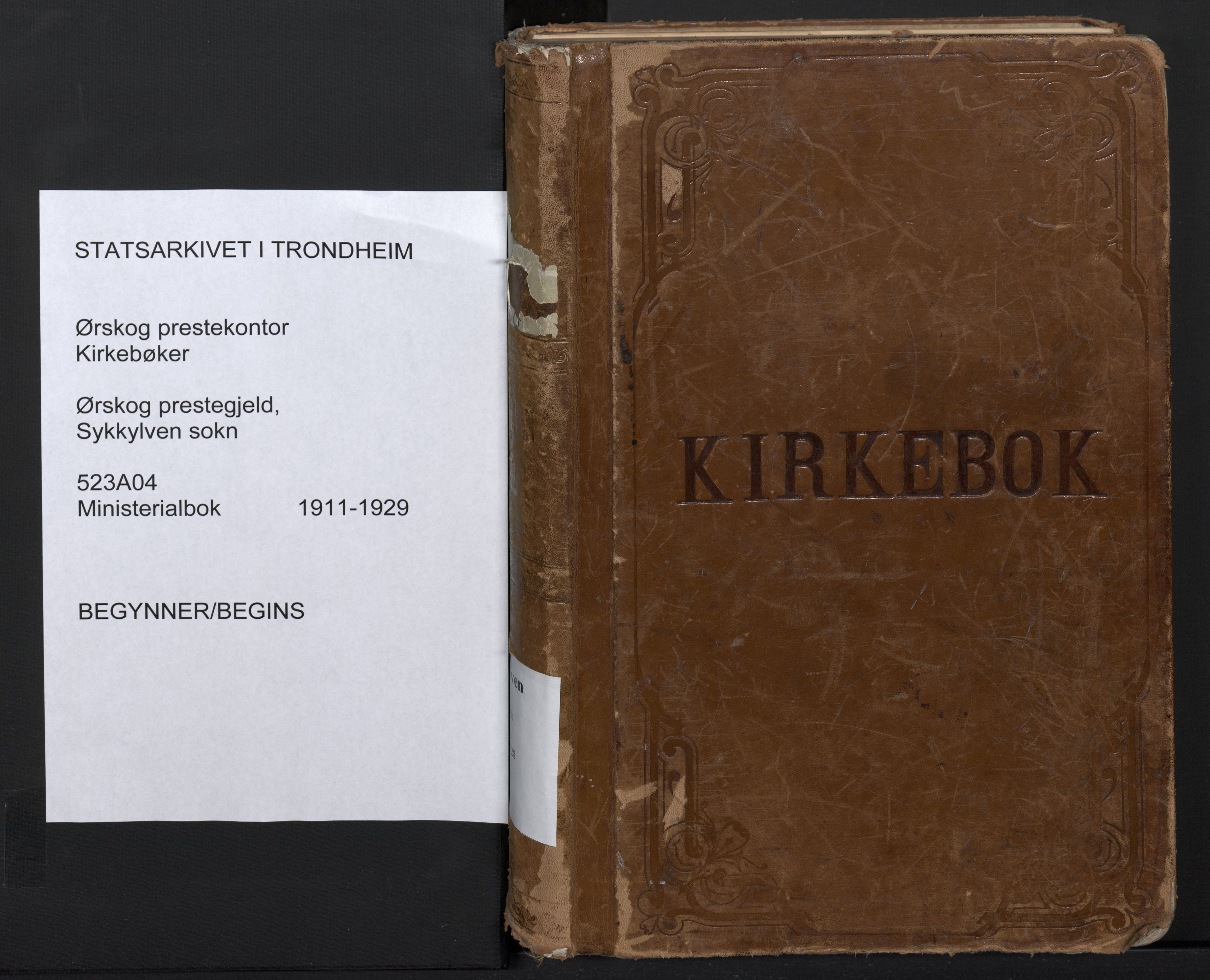 Ministerialprotokoller, klokkerbøker og fødselsregistre - Møre og Romsdal, AV/SAT-A-1454/523/L0337: Ministerialbok nr. 523A04, 1911-1929