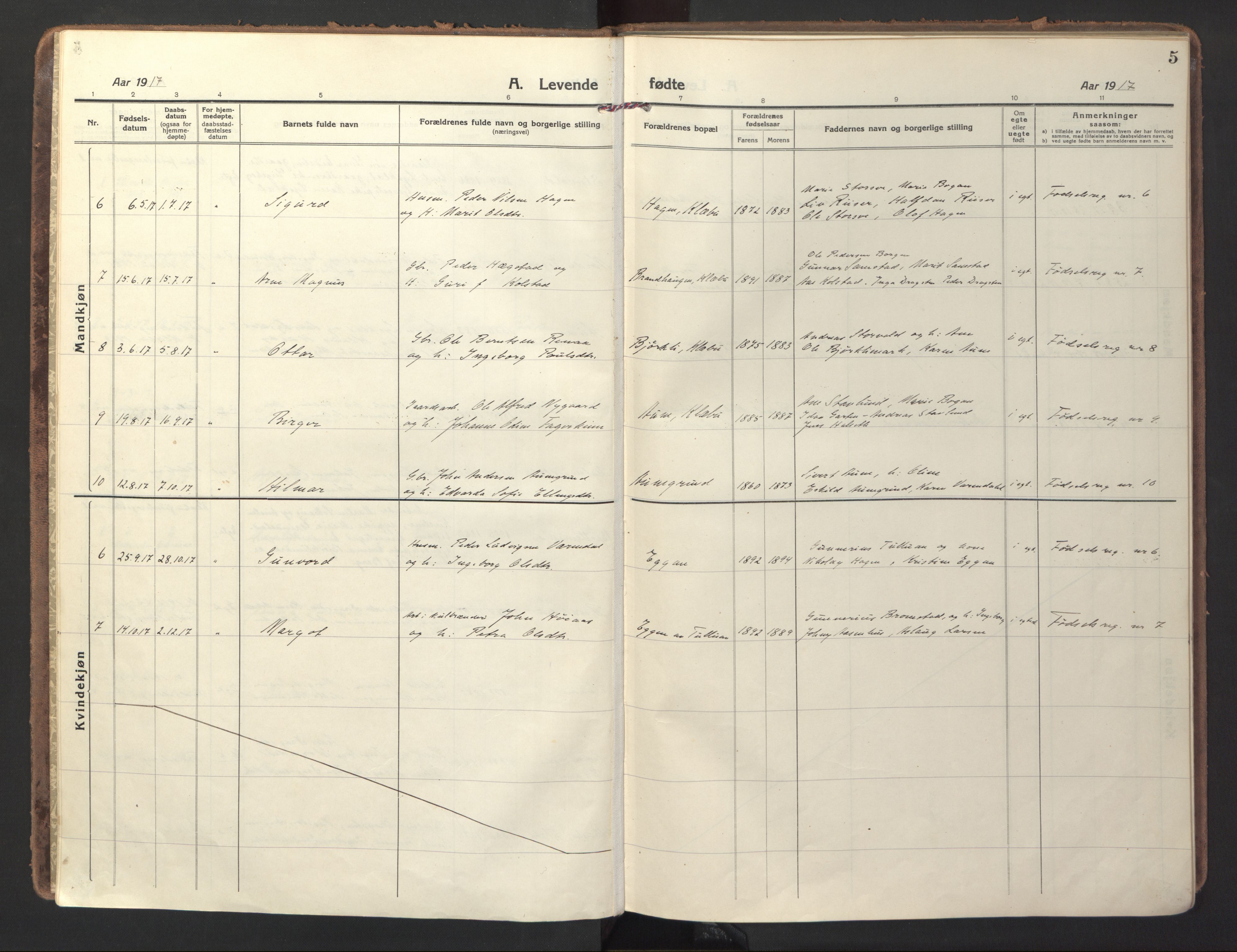 Ministerialprotokoller, klokkerbøker og fødselsregistre - Sør-Trøndelag, AV/SAT-A-1456/618/L0449: Ministerialbok nr. 618A12, 1917-1924, s. 5