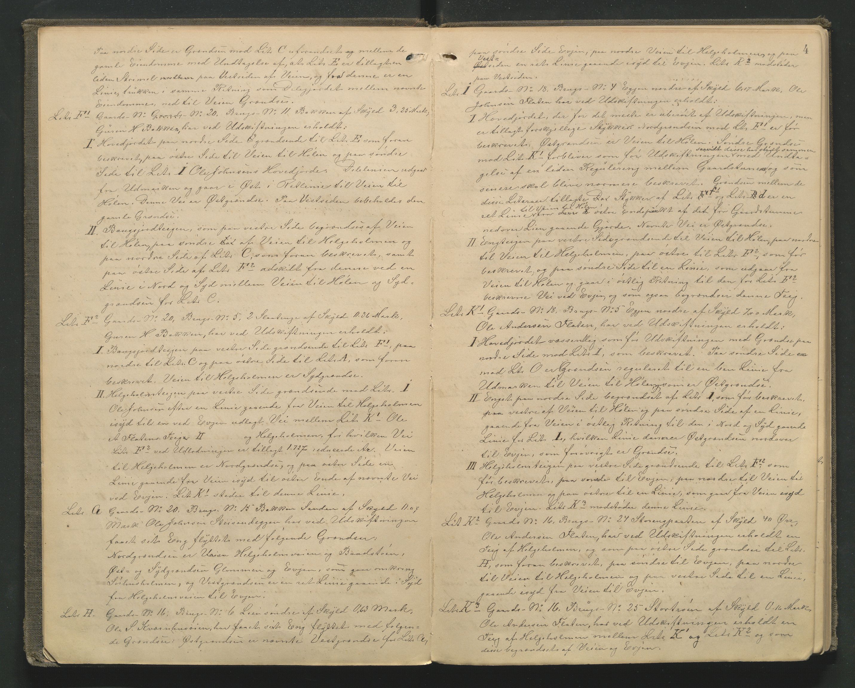 Utskiftningsformannen i Hedmark fylke, AV/SAH-JORDSKIFTEH-001/H/Ha/L0005/0001: Forhandlingsprotokoller, nr. 8 og 10 / Forhandlingsprotokoll nr. 8, 1894-1898