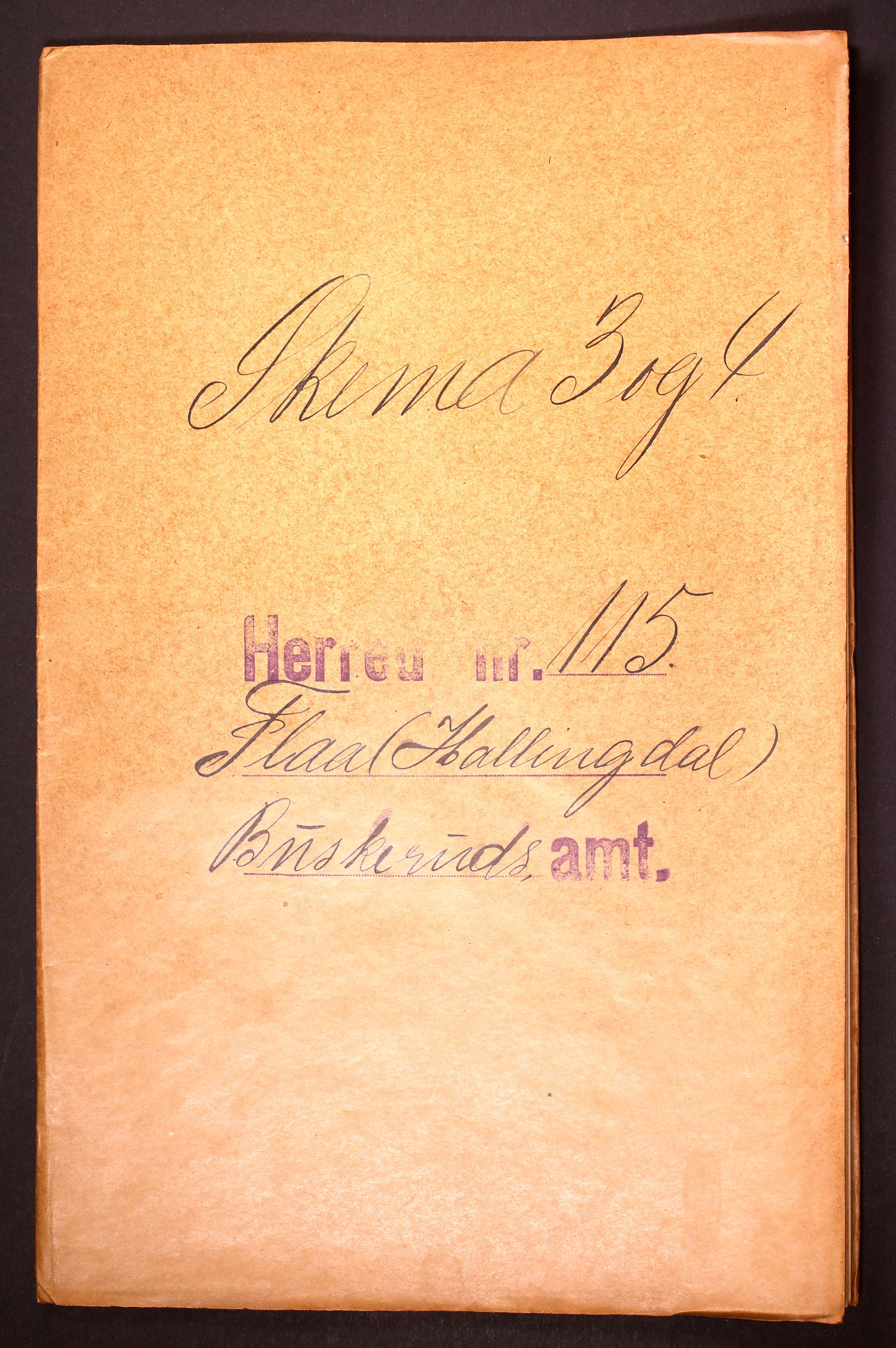 RA, Folketelling 1910 for 0615 Flå herred, 1910, s. 1