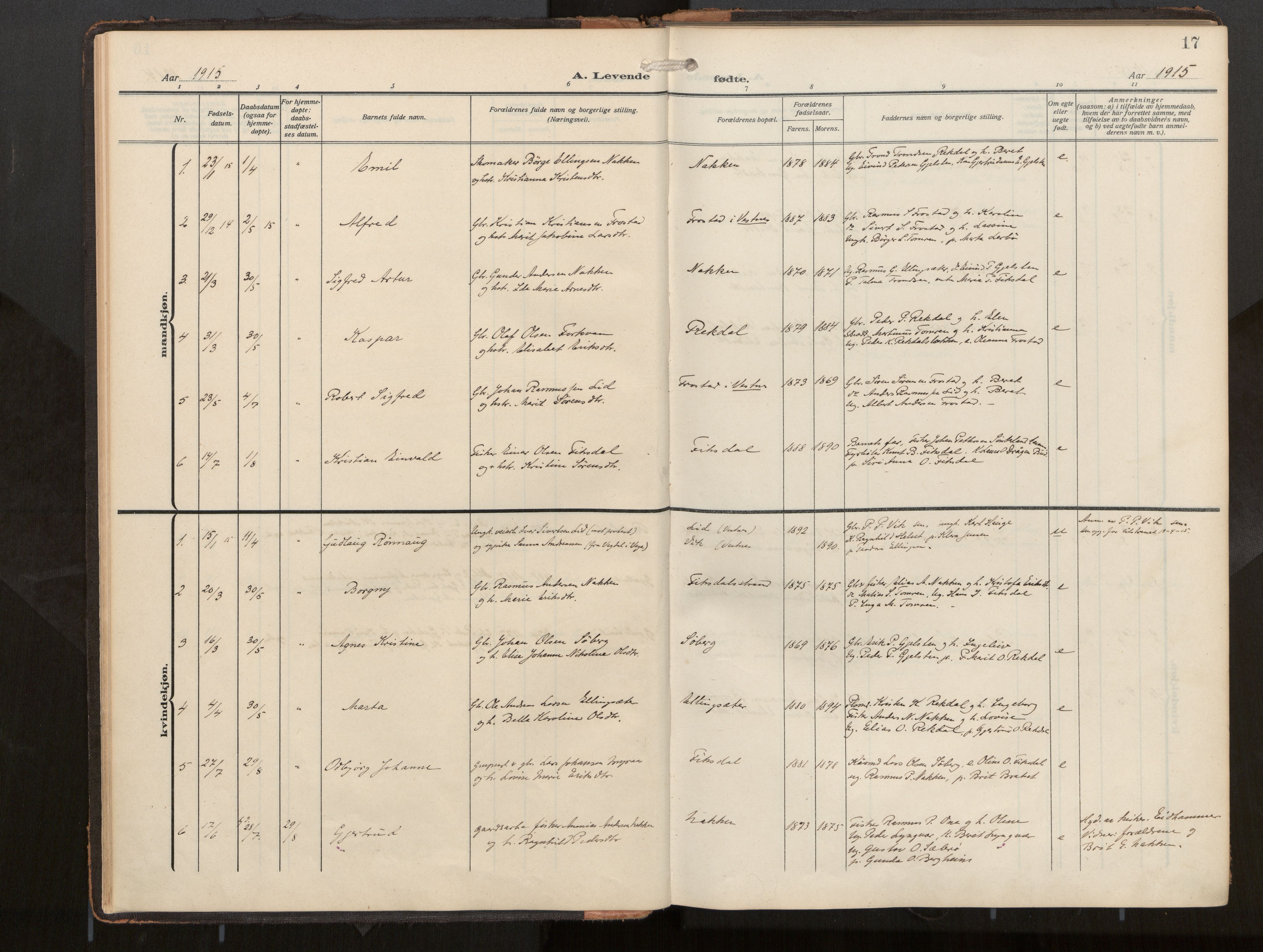 Ministerialprotokoller, klokkerbøker og fødselsregistre - Møre og Romsdal, SAT/A-1454/540/L0540b: Ministerialbok nr. 540A03, 1909-1932, s. 17