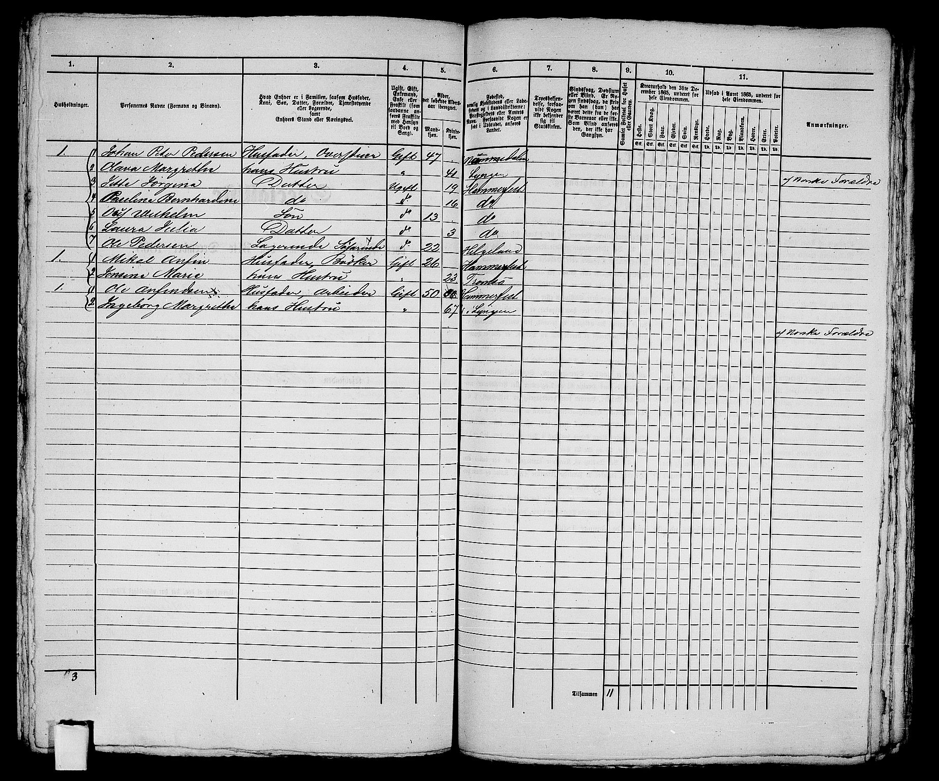 RA, Folketelling 1865 for 2001B Hammerfest prestegjeld, Hammerfest kjøpstad, 1865, s. 248