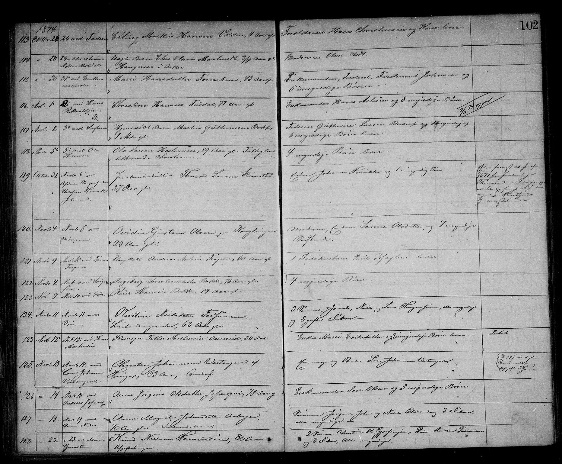 Asker og Bærum lensmannskontor, AV/SAO-A-10643/H/Ha/Haa/L0003: Dødsanmeldelsesprotokoll, 1865-1882, s. 102