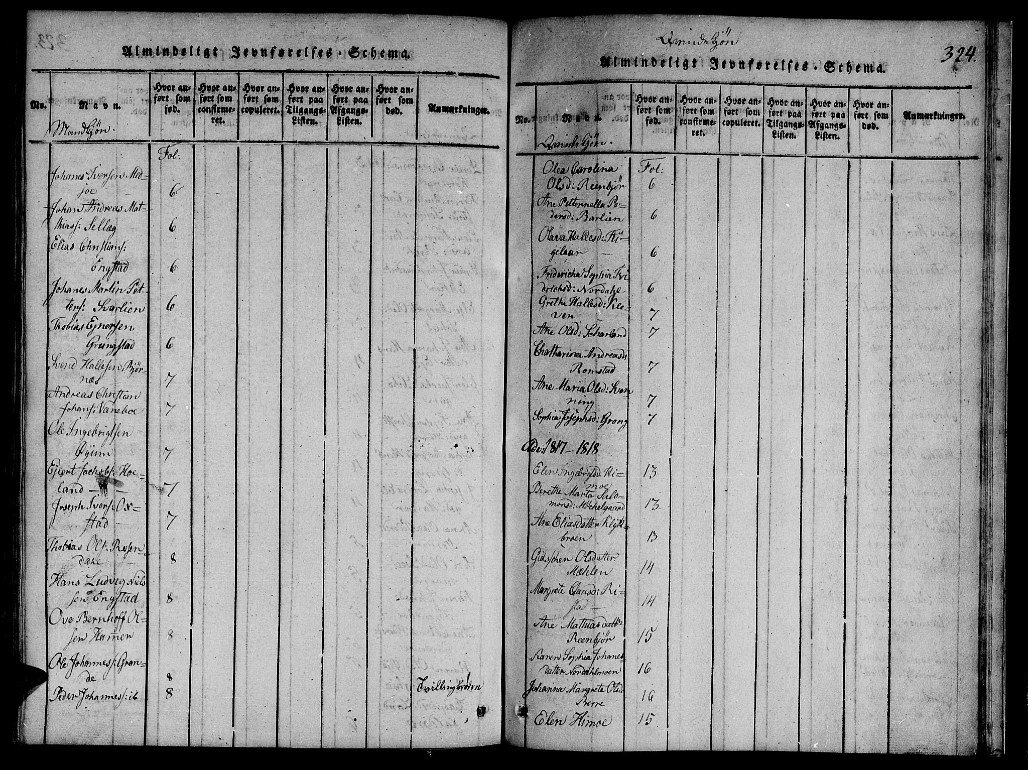 Ministerialprotokoller, klokkerbøker og fødselsregistre - Nord-Trøndelag, SAT/A-1458/764/L0546: Ministerialbok nr. 764A06 /1, 1816-1823, s. 324
