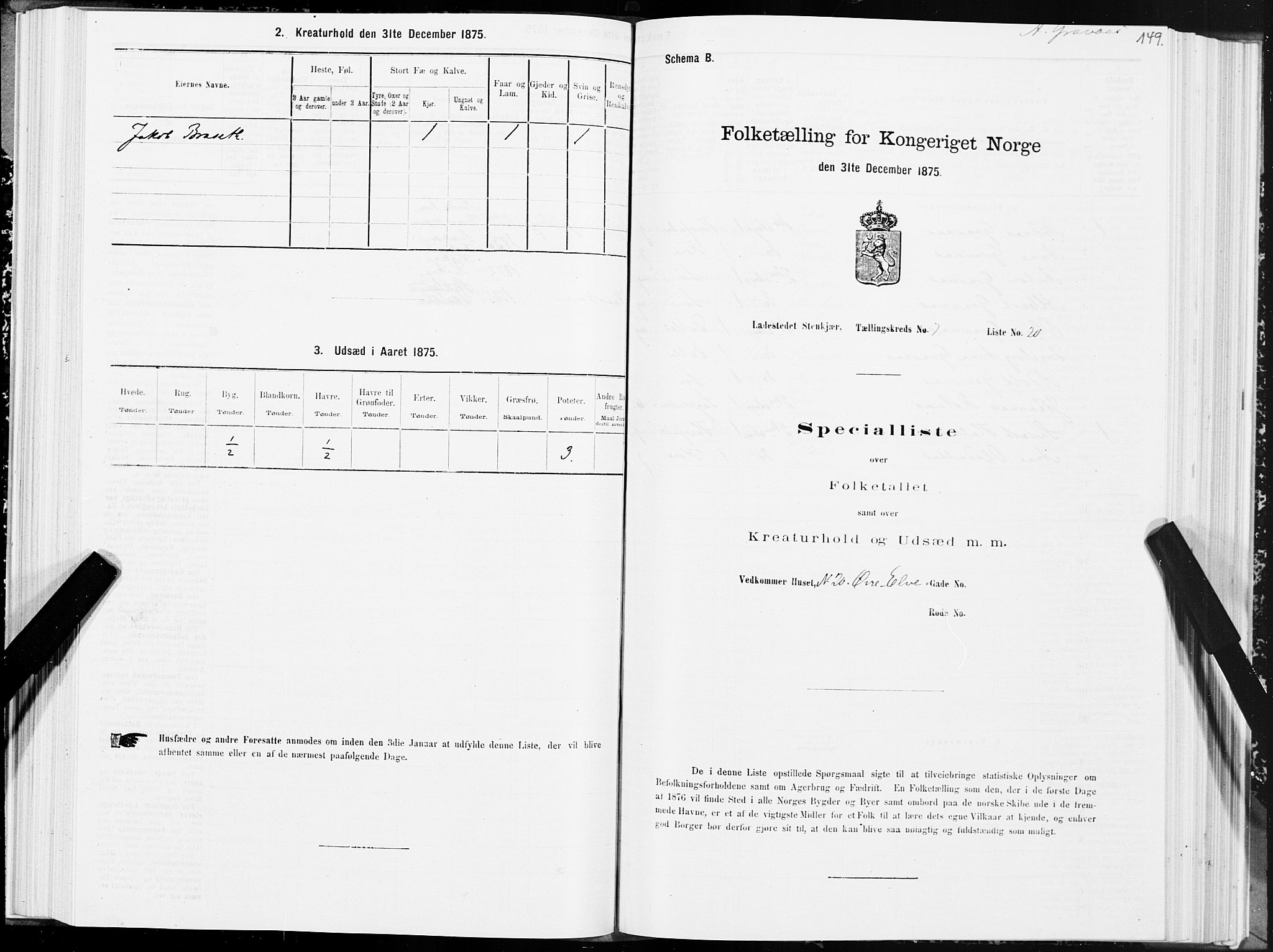 SAT, Folketelling 1875 for 1702B Steinkjer prestegjeld, Steinkjer ladested, 1875, s. 149