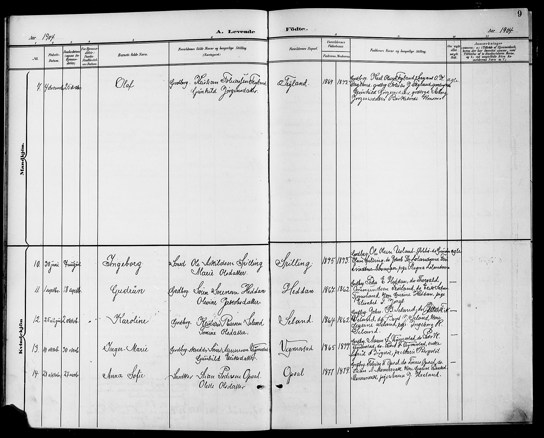 Nord-Audnedal sokneprestkontor, AV/SAK-1111-0032/F/Fb/Fbb/L0004: Klokkerbok nr. B 4, 1901-1917, s. 9