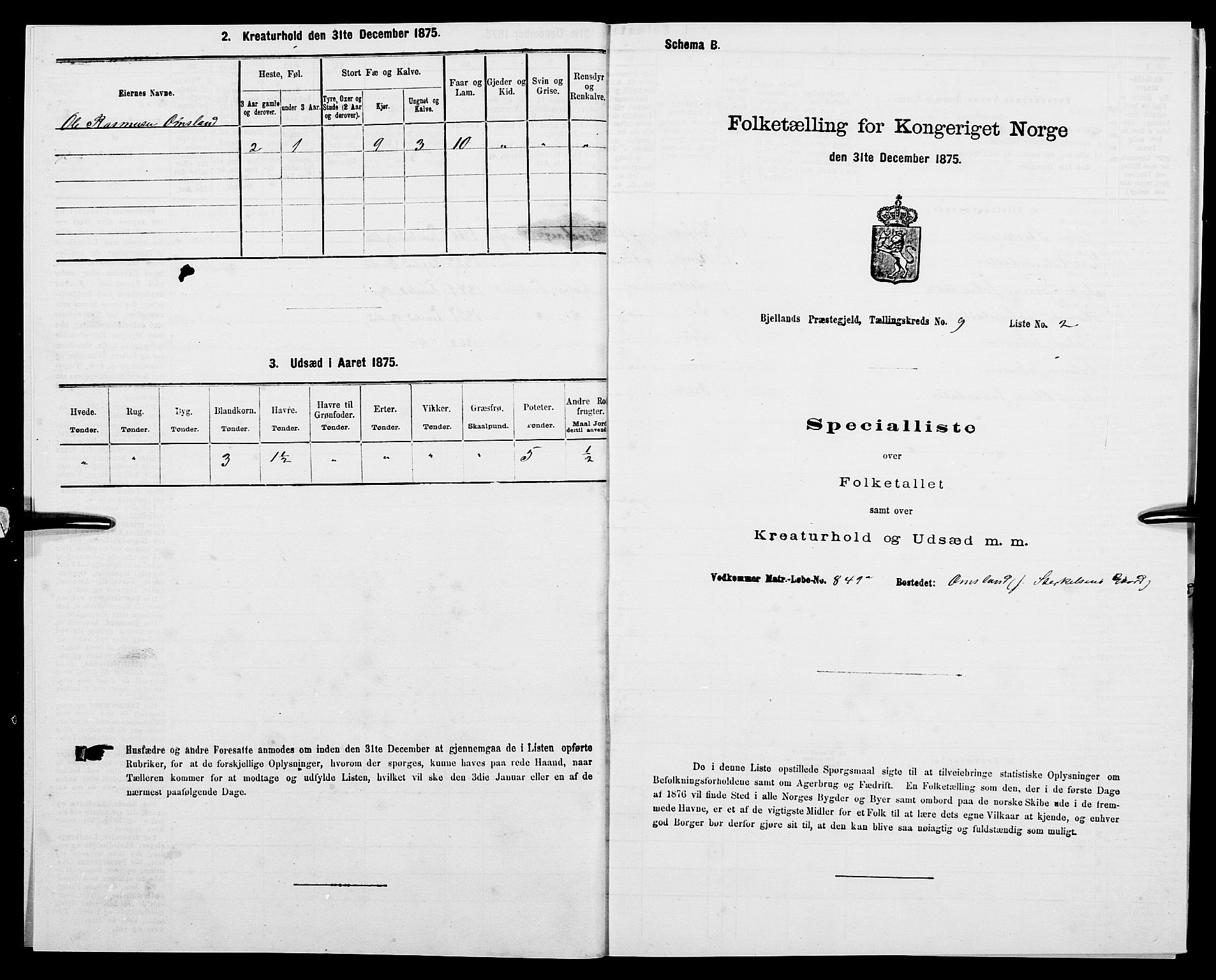 SAK, Folketelling 1875 for 1024P Bjelland prestegjeld, 1875, s. 984