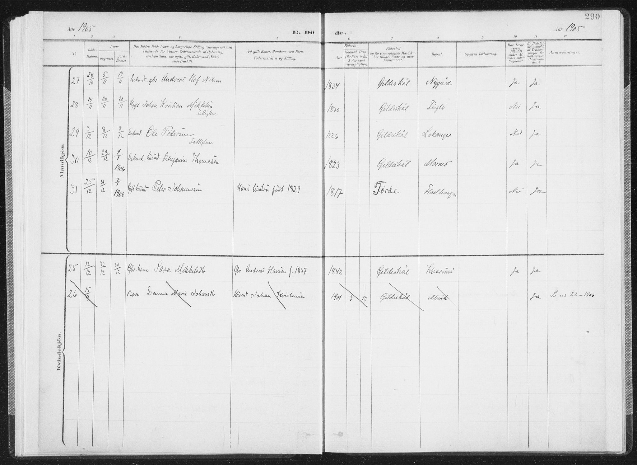 Ministerialprotokoller, klokkerbøker og fødselsregistre - Nordland, AV/SAT-A-1459/805/L0103: Ministerialbok nr. 805A08II, 1900-1909, s. 290