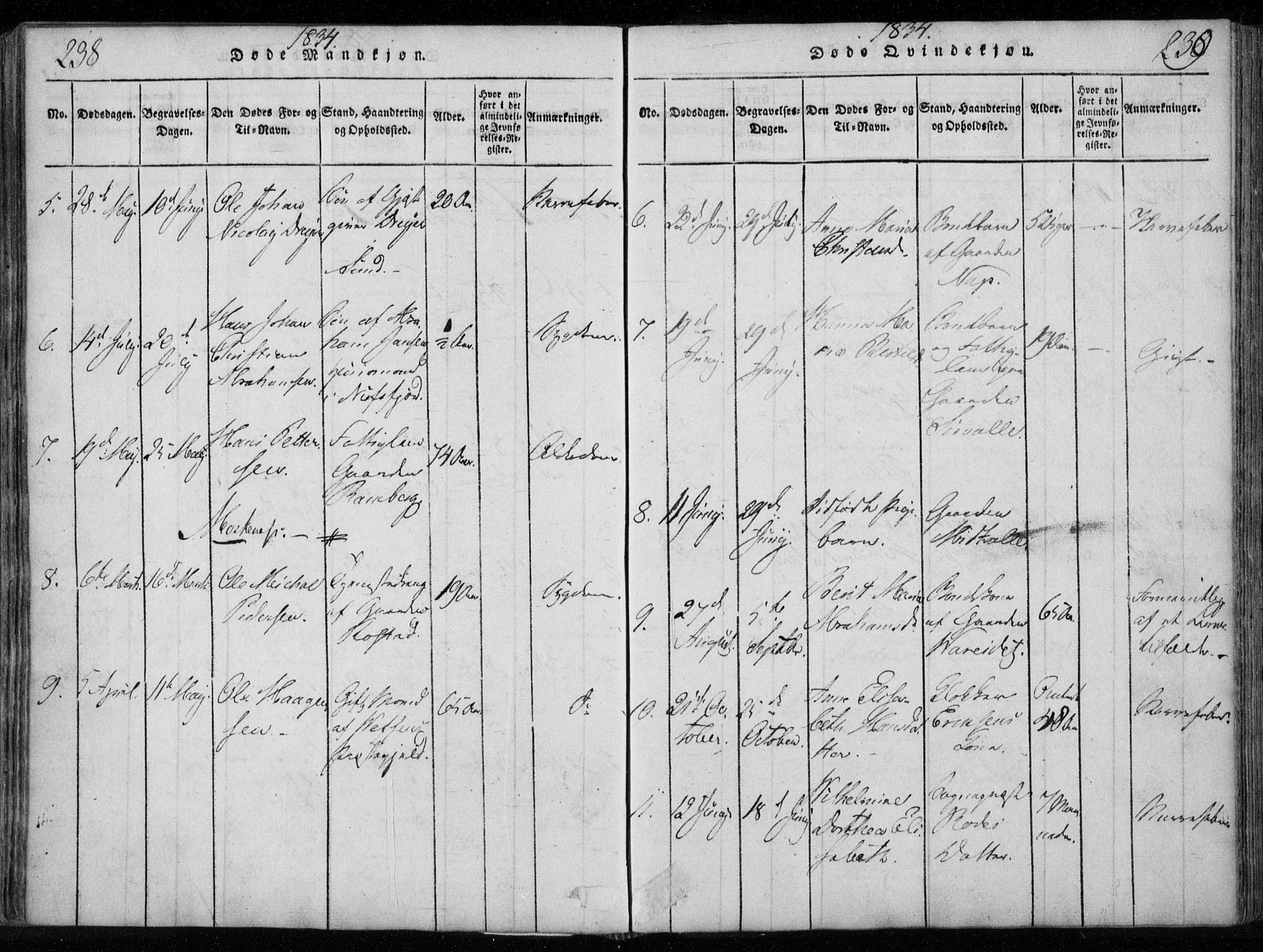 Ministerialprotokoller, klokkerbøker og fødselsregistre - Nordland, AV/SAT-A-1459/885/L1201: Ministerialbok nr. 885A02, 1820-1837, s. 238-239
