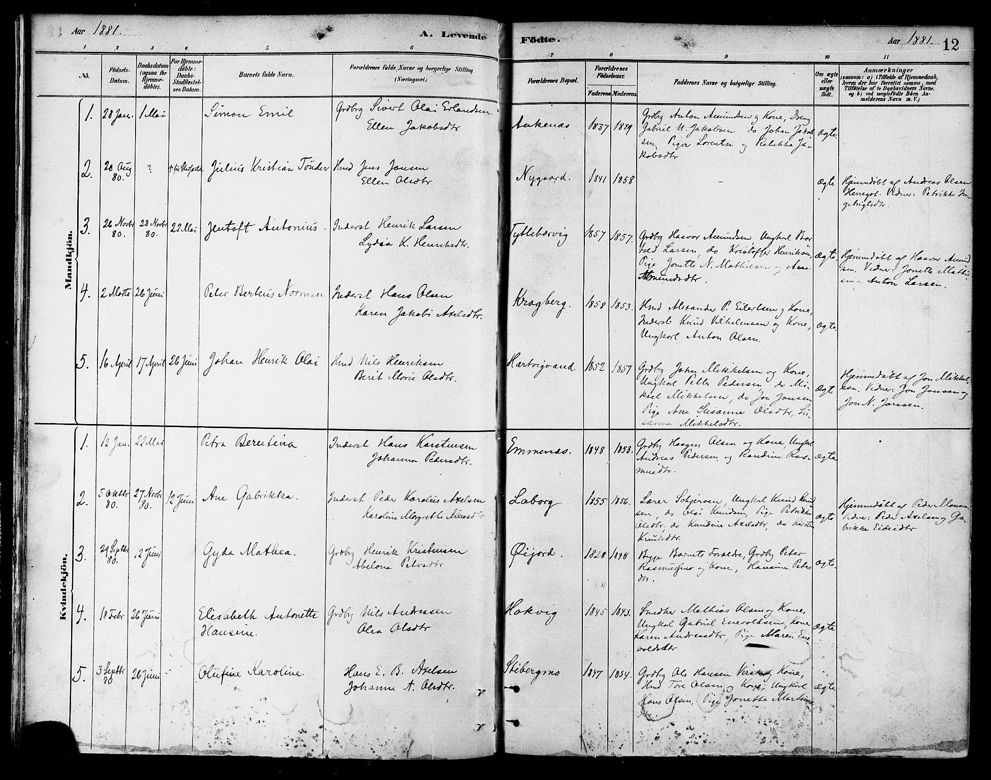 Ministerialprotokoller, klokkerbøker og fødselsregistre - Nordland, AV/SAT-A-1459/866/L0938: Ministerialbok nr. 866A01, 1879-1893, s. 12