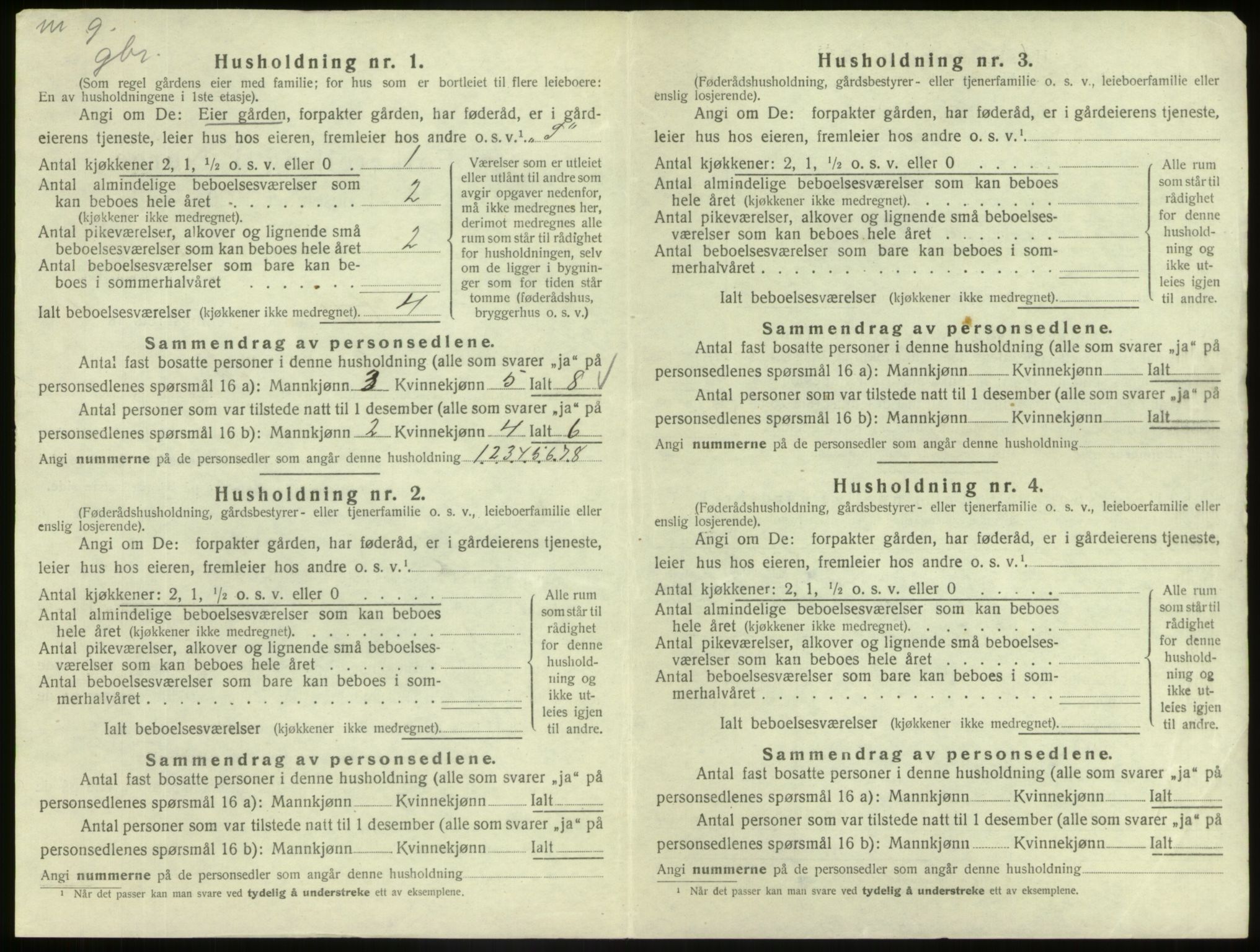 SAB, Folketelling 1920 for 1425 Hafslo herred, 1920, s. 302