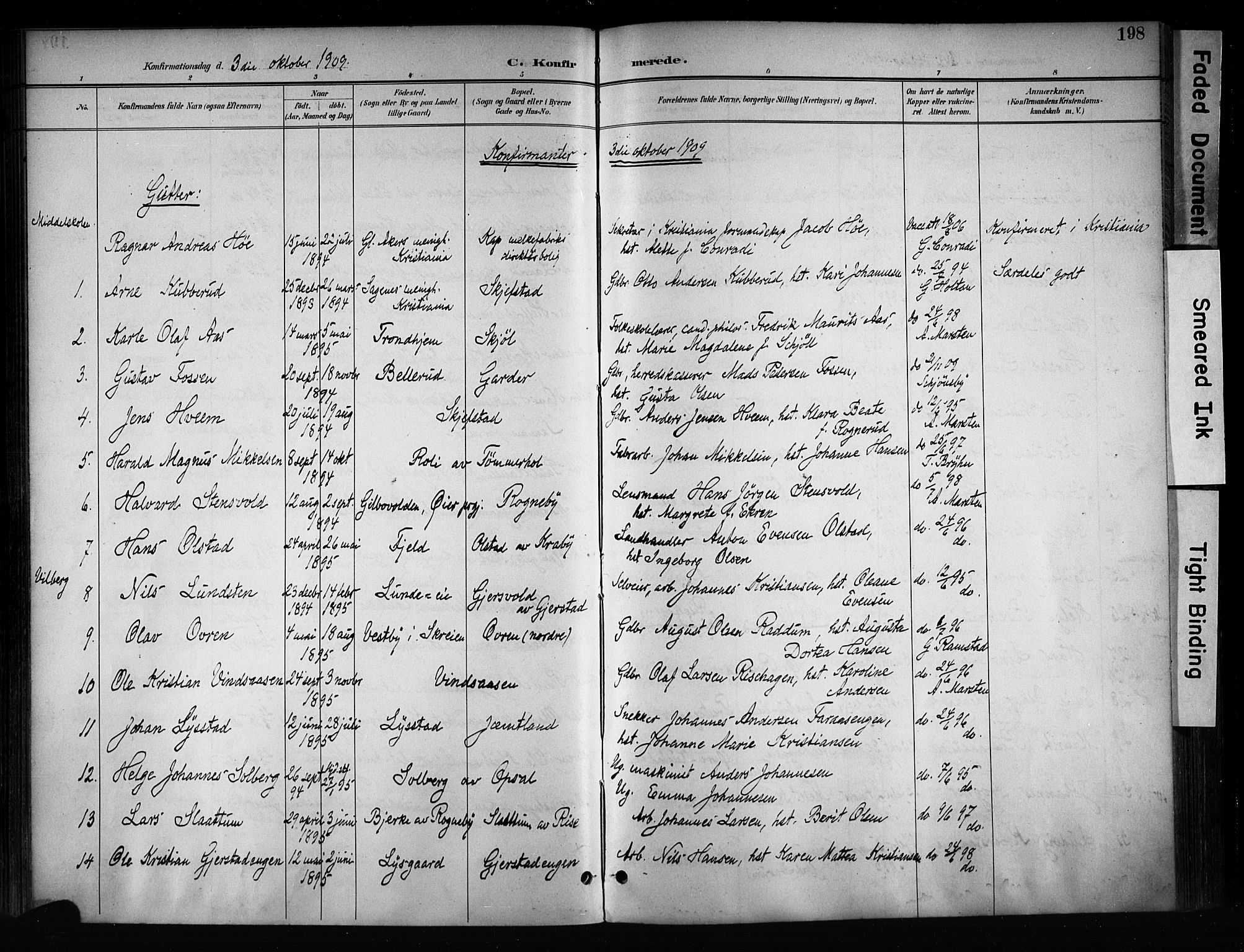Østre Toten prestekontor, AV/SAH-PREST-104/H/Ha/Haa/L0008: Ministerialbok nr. 8, 1897-1909, s. 198