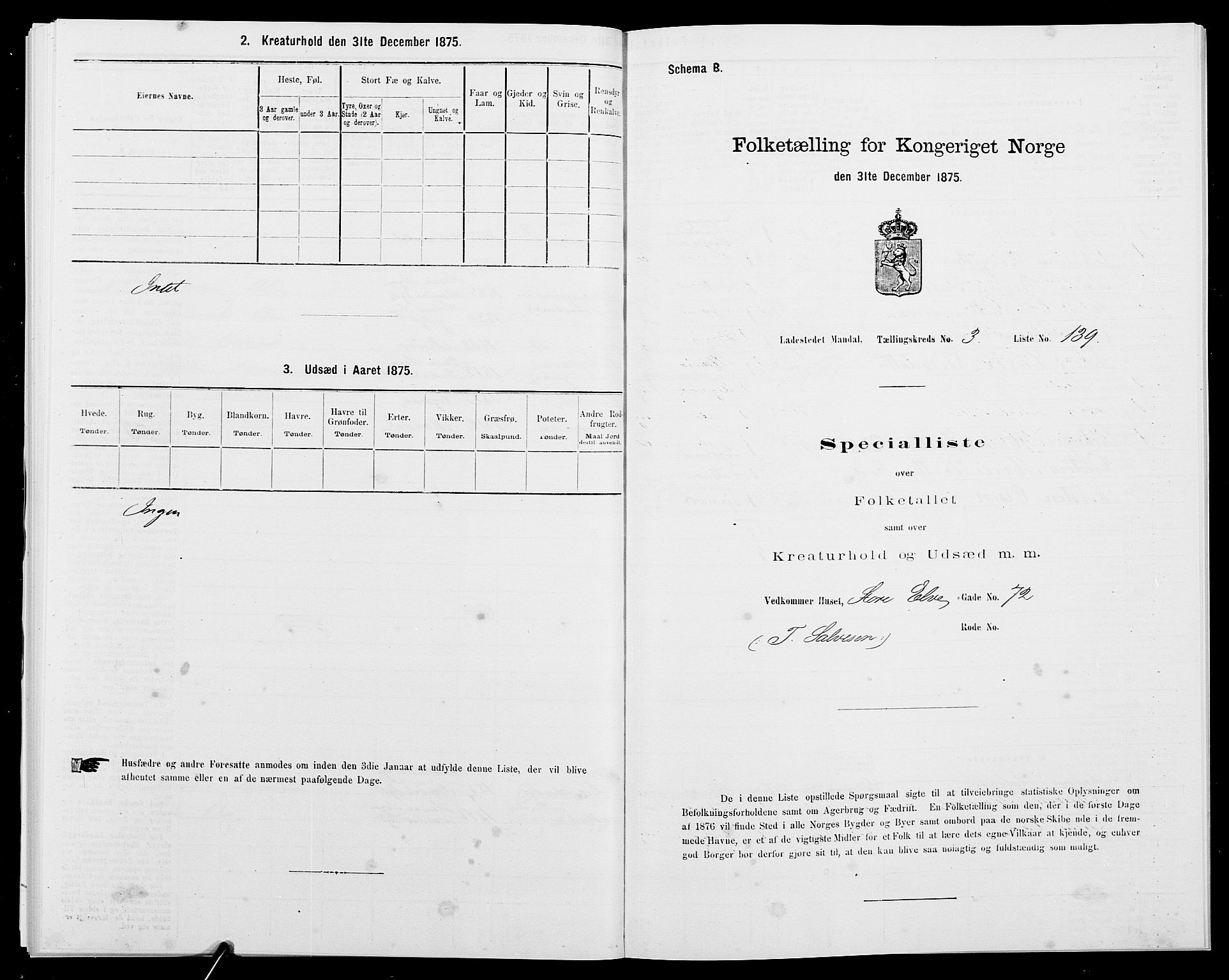 SAK, Folketelling 1875 for 1002B Mandal prestegjeld, Mandal ladested, 1875, s. 303