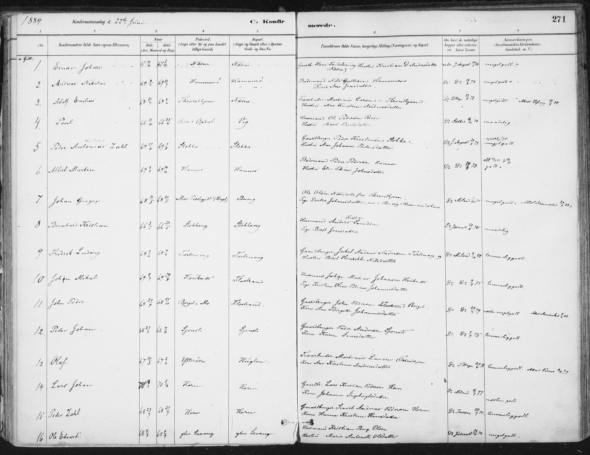 Ministerialprotokoller, klokkerbøker og fødselsregistre - Nordland, SAT/A-1459/838/L0552: Ministerialbok nr. 838A10, 1880-1910, s. 271