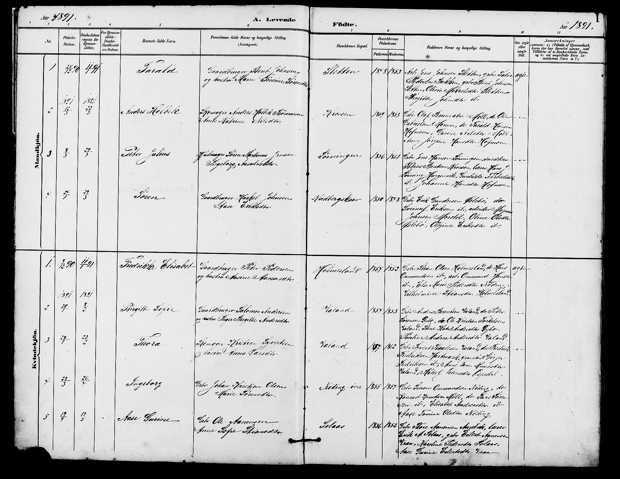 Holum sokneprestkontor, AV/SAK-1111-0022/F/Fb/Fba/L0005: Klokkerbok nr. B 5, 1891-1909, s. 1