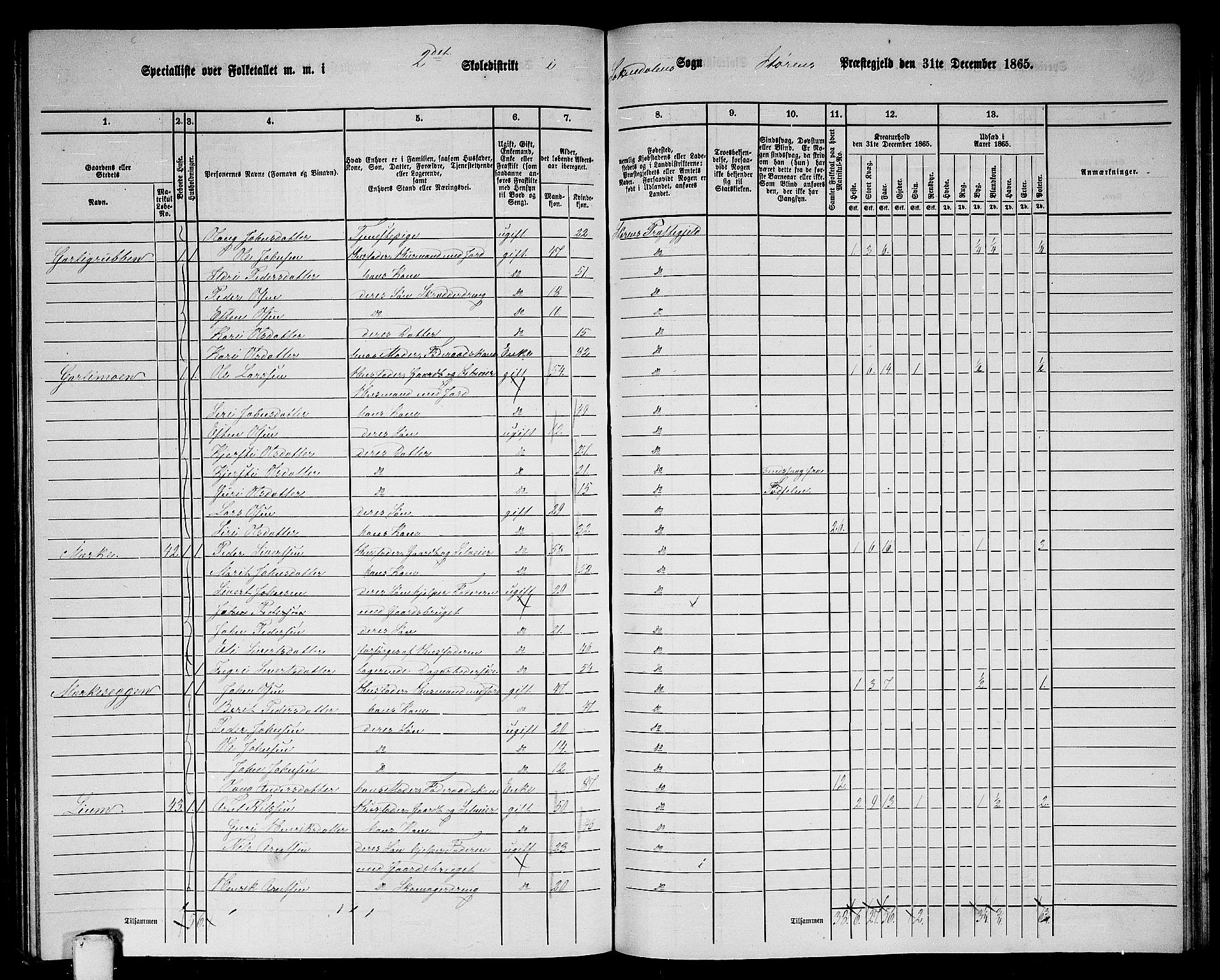 RA, Folketelling 1865 for 1648P Støren prestegjeld, 1865, s. 244