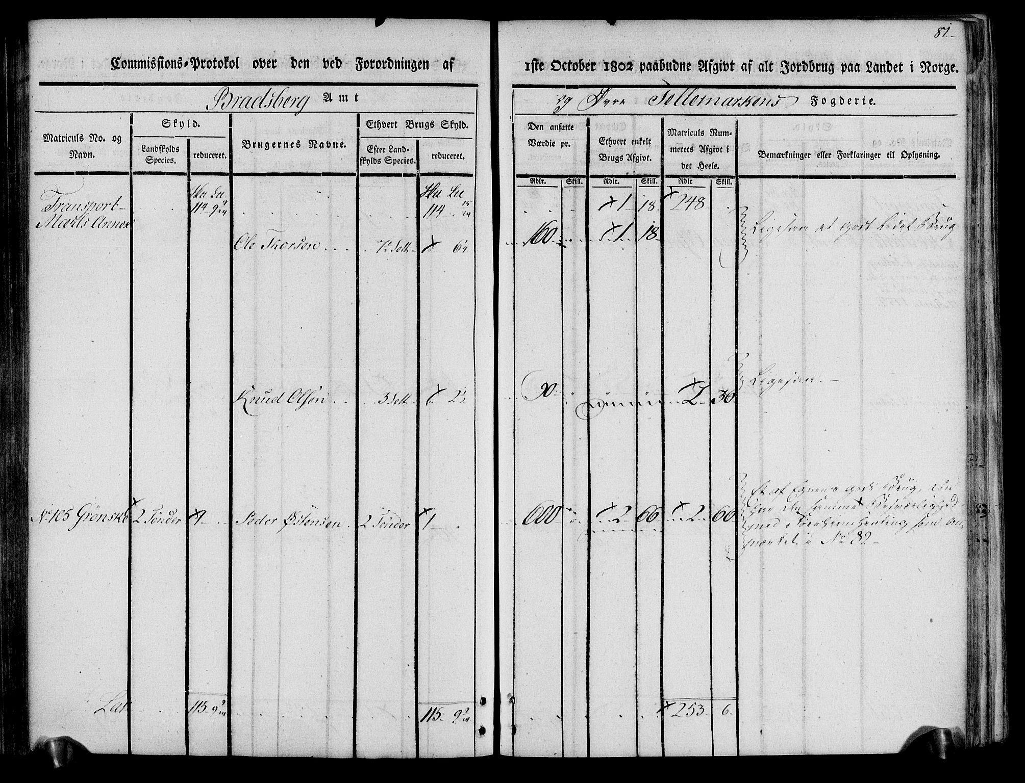 Rentekammeret inntil 1814, Realistisk ordnet avdeling, AV/RA-EA-4070/N/Ne/Nea/L0074: Øvre Telemarken fogderi. Kommisjonsprotokoll for fogderiets østre del - Tinn, Hjartdal og Seljord prestegjeld., 1803, s. 81