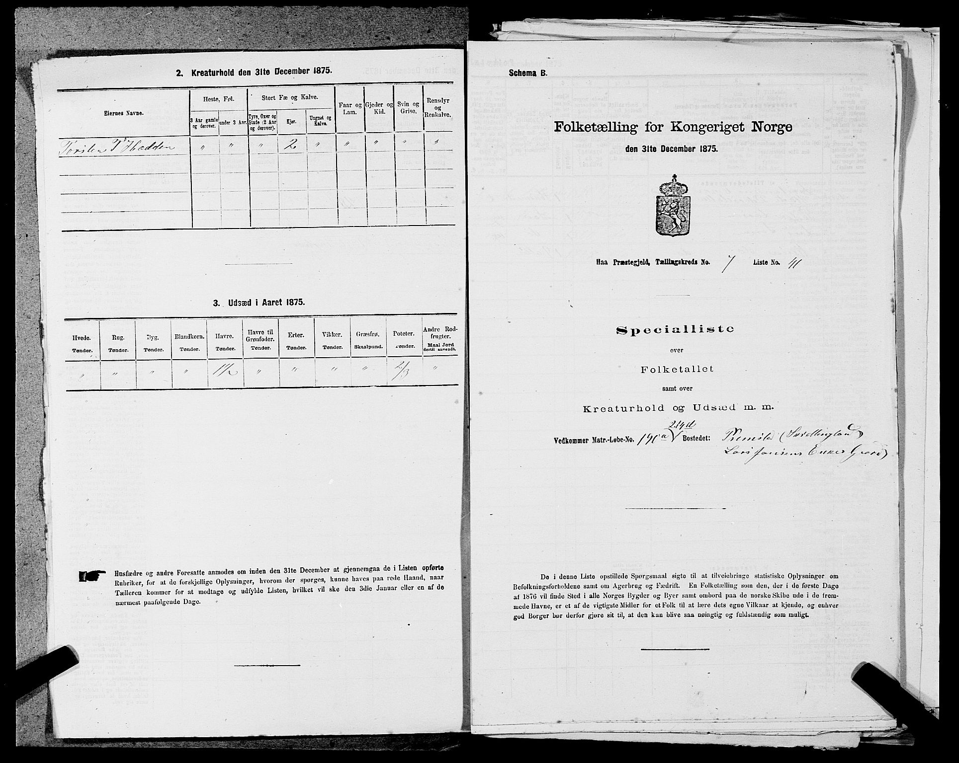 SAST, Folketelling 1875 for 1119P Hå prestegjeld, 1875, s. 807