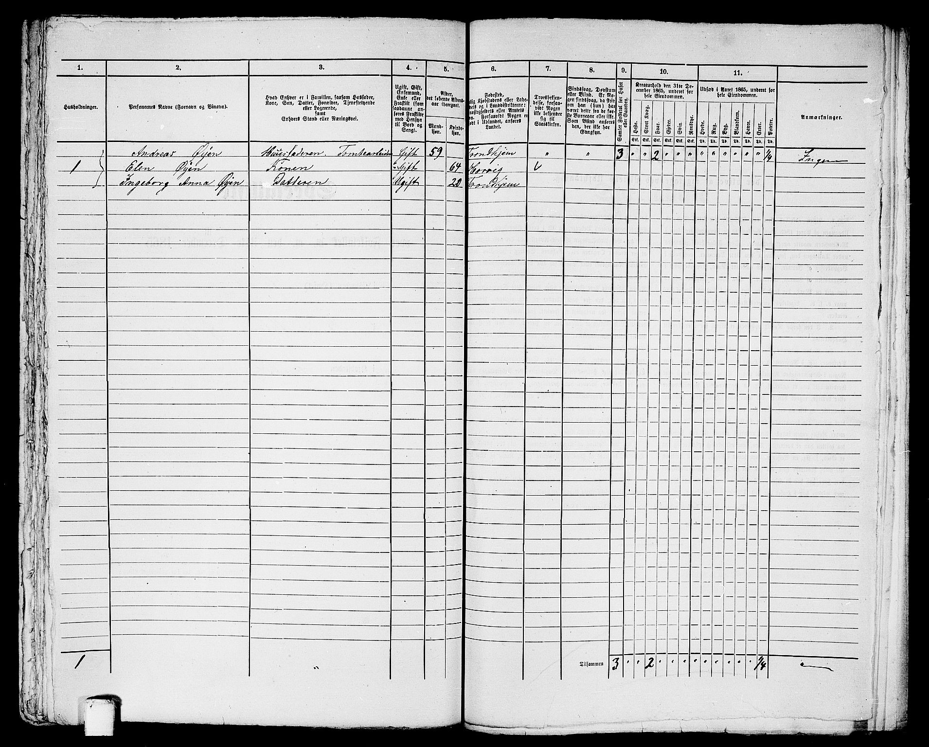 RA, Folketelling 1865 for 1601 Trondheim kjøpstad, 1865, s. 2018