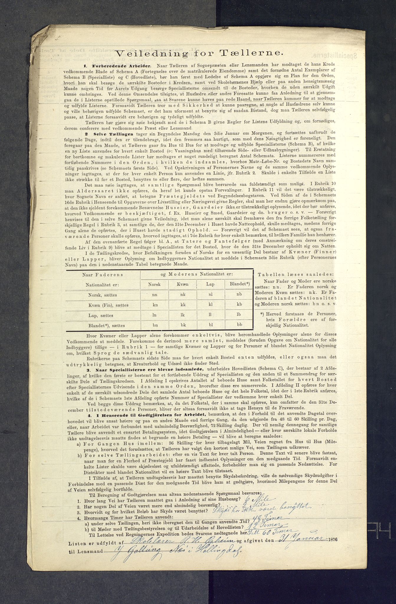 SAKO, Folketelling 1875 for 0616P Nes prestegjeld, 1875, s. 45