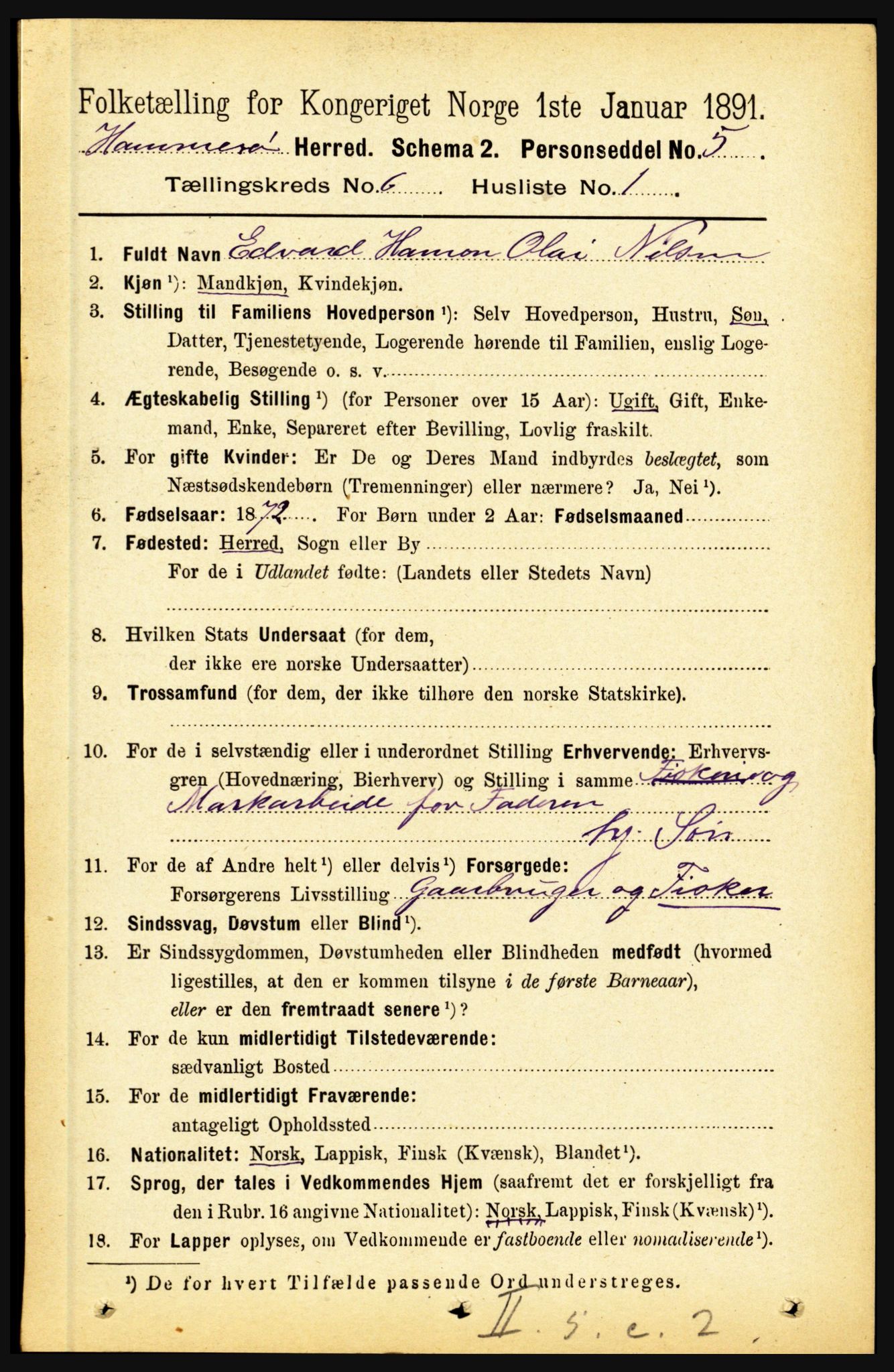 RA, Folketelling 1891 for 1849 Hamarøy herred, 1891, s. 3019