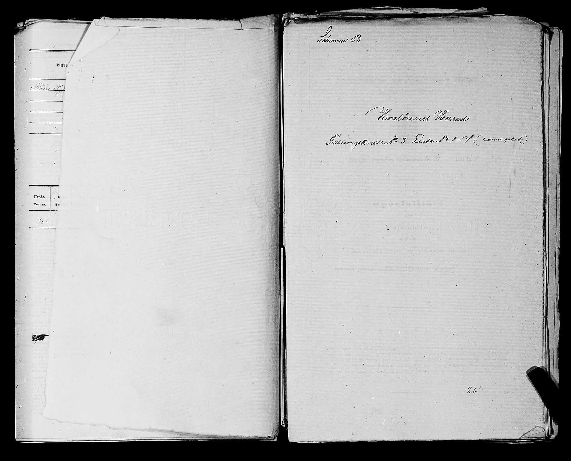 RA, Folketelling 1875 for 0111P Hvaler prestegjeld, 1875, s. 550