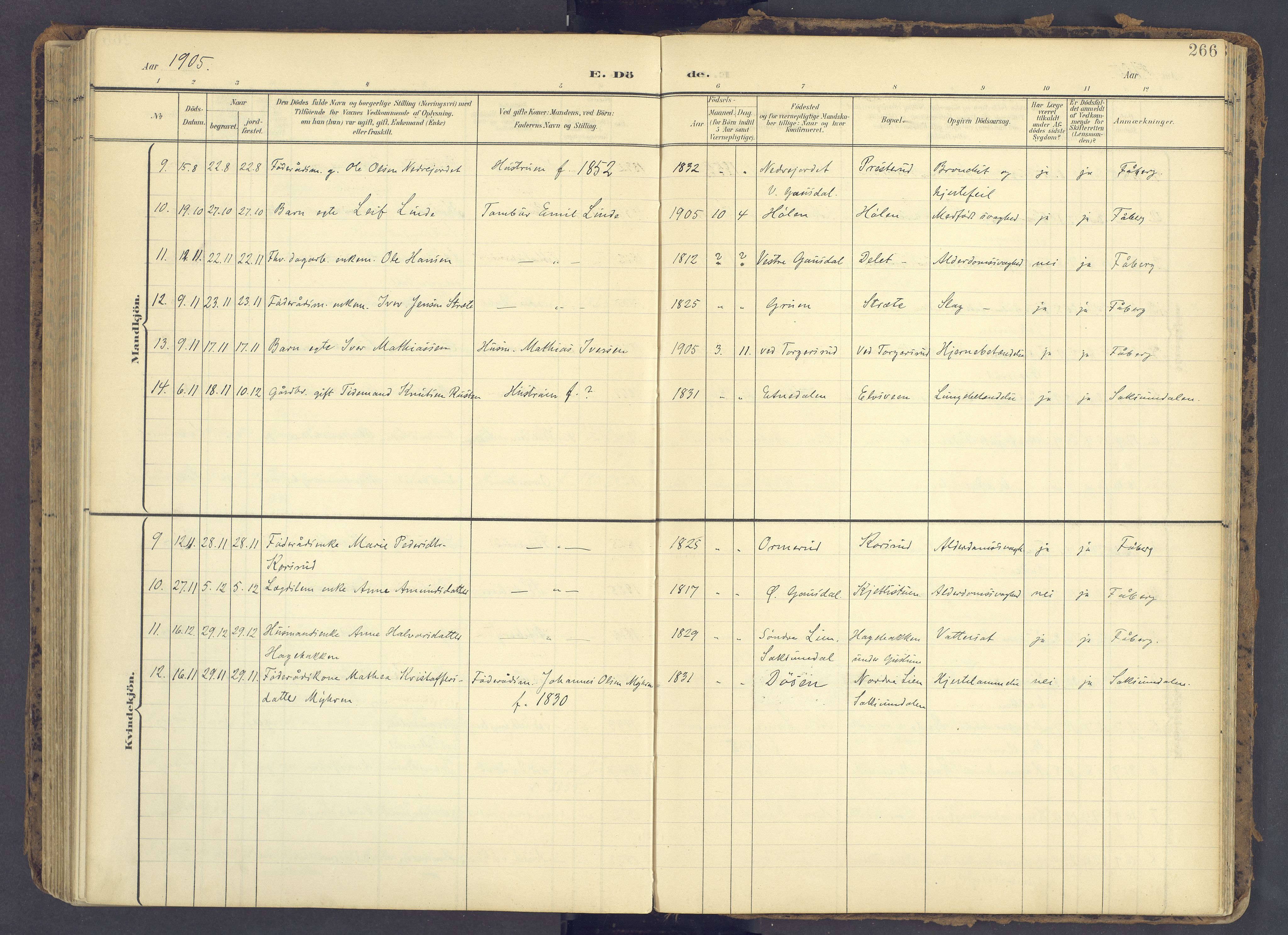 Fåberg prestekontor, SAH/PREST-086/H/Ha/Haa/L0012: Ministerialbok nr. 12, 1899-1915, s. 266