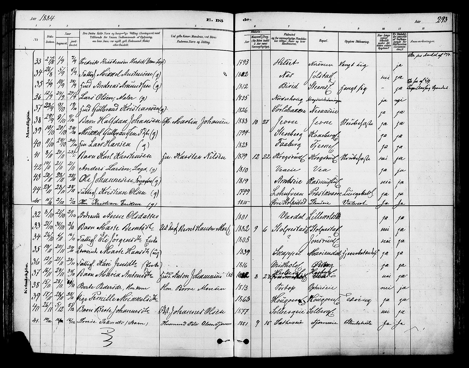 Ringsaker prestekontor, AV/SAH-PREST-014/K/Ka/L0012: Ministerialbok nr. 12, 1879-1890, s. 293
