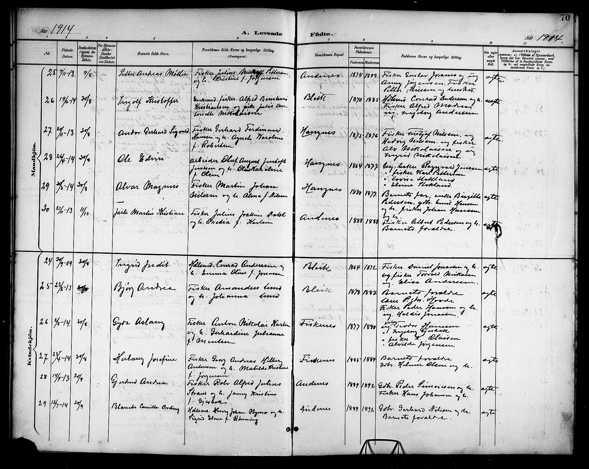 Ministerialprotokoller, klokkerbøker og fødselsregistre - Nordland, AV/SAT-A-1459/899/L1449: Klokkerbok nr. 899C04, 1900-1918, s. 70