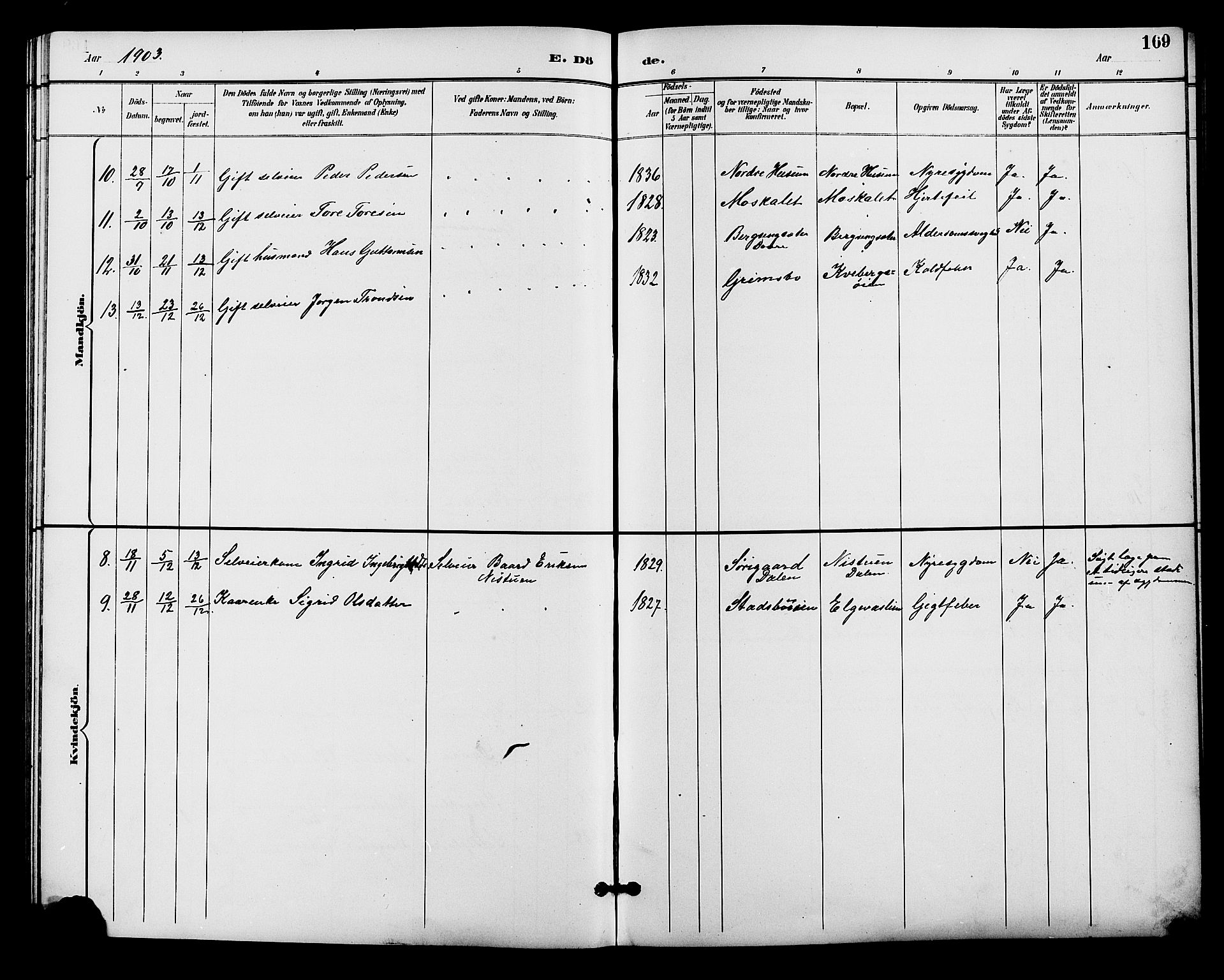 Alvdal prestekontor, SAH/PREST-060/H/Ha/Hab/L0004: Klokkerbok nr. 4, 1894-1910, s. 169