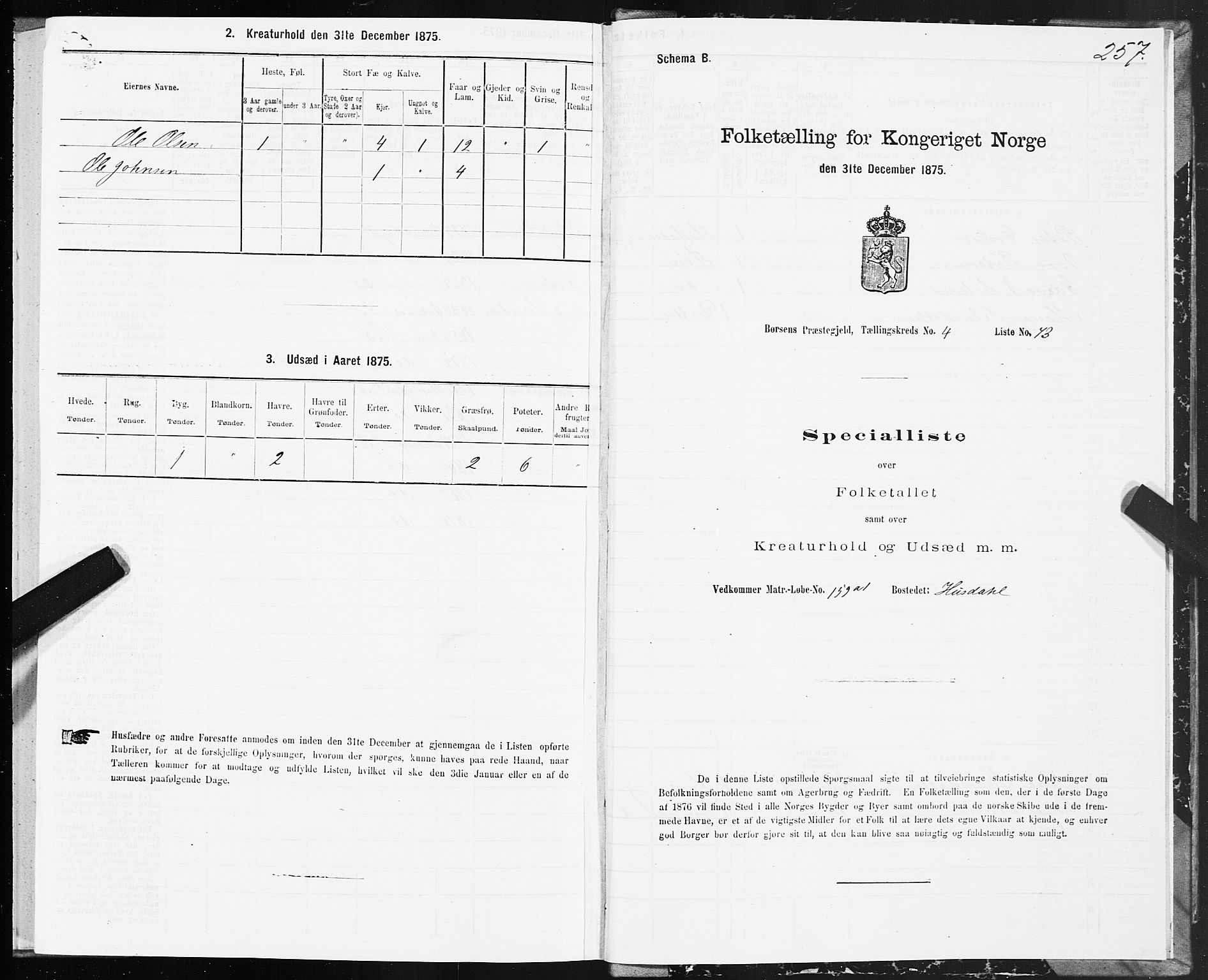 SAT, Folketelling 1875 for 1658P Børsa prestegjeld, 1875, s. 3257