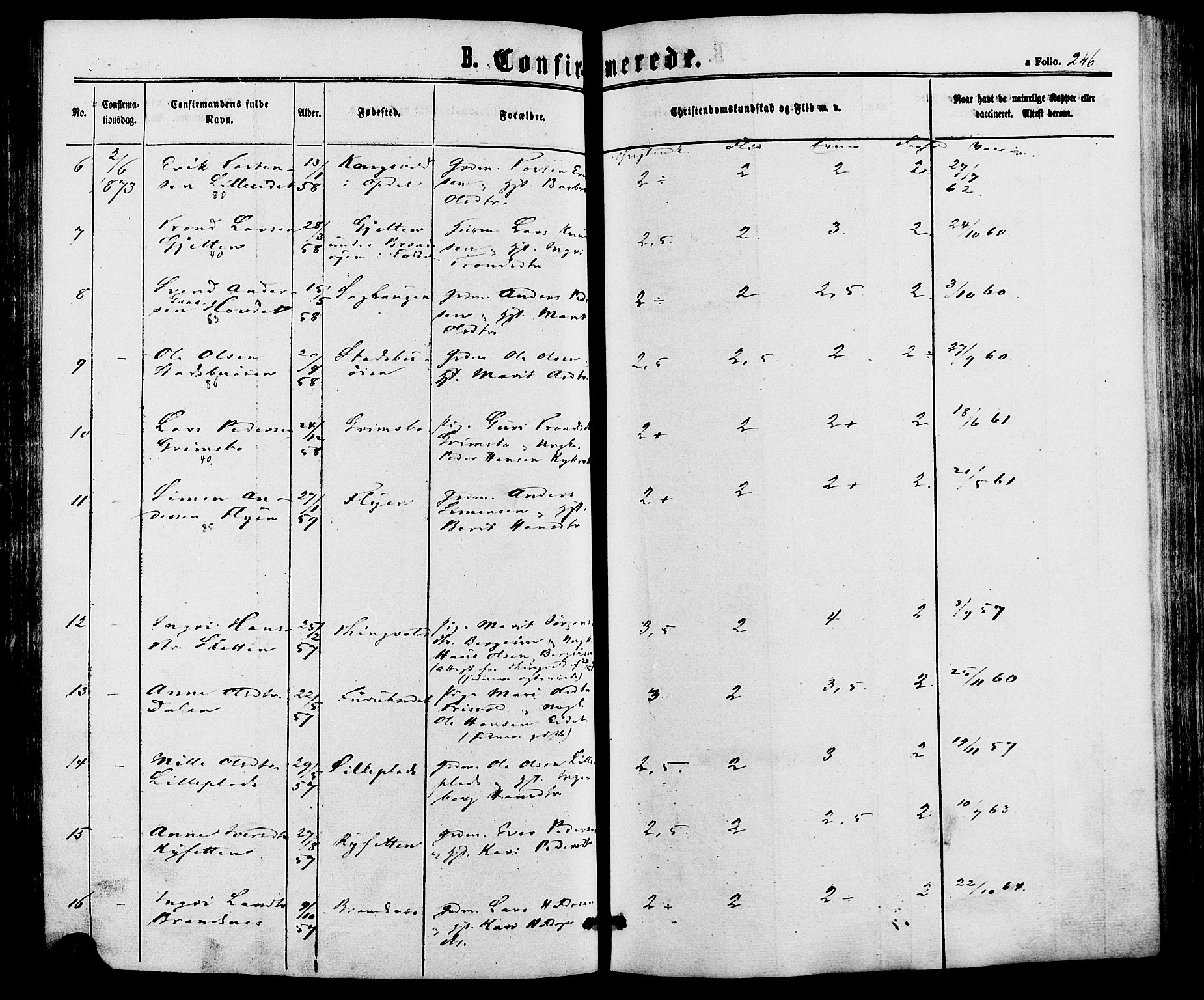 Alvdal prestekontor, AV/SAH-PREST-060/H/Ha/Haa/L0001: Ministerialbok nr. 1, 1863-1882, s. 246