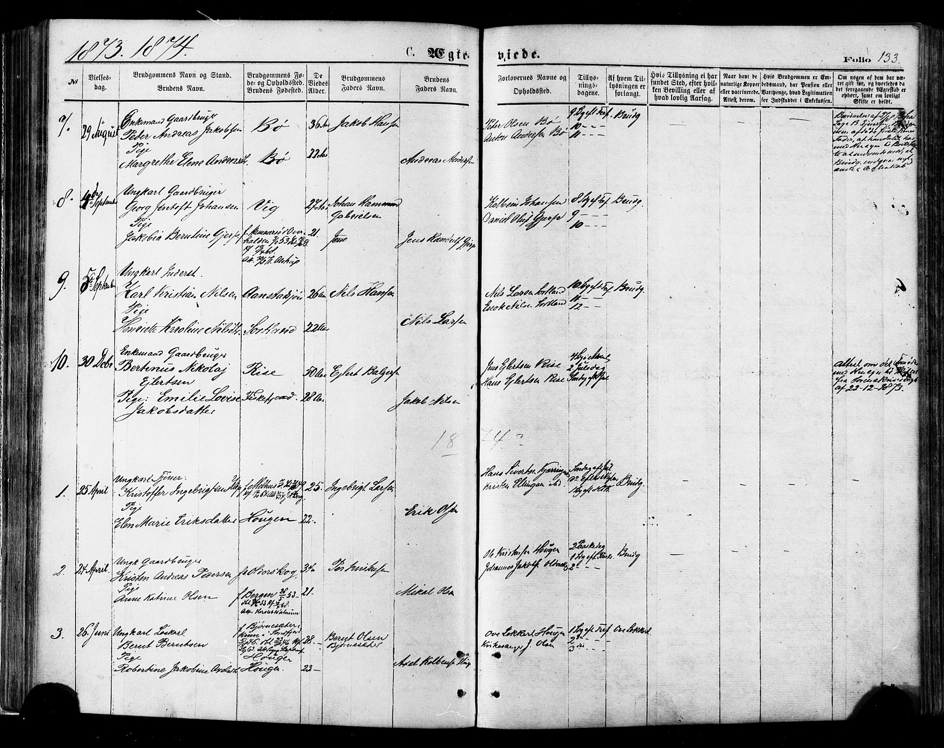Ministerialprotokoller, klokkerbøker og fødselsregistre - Nordland, SAT/A-1459/895/L1370: Ministerialbok nr. 895A05, 1873-1884, s. 133