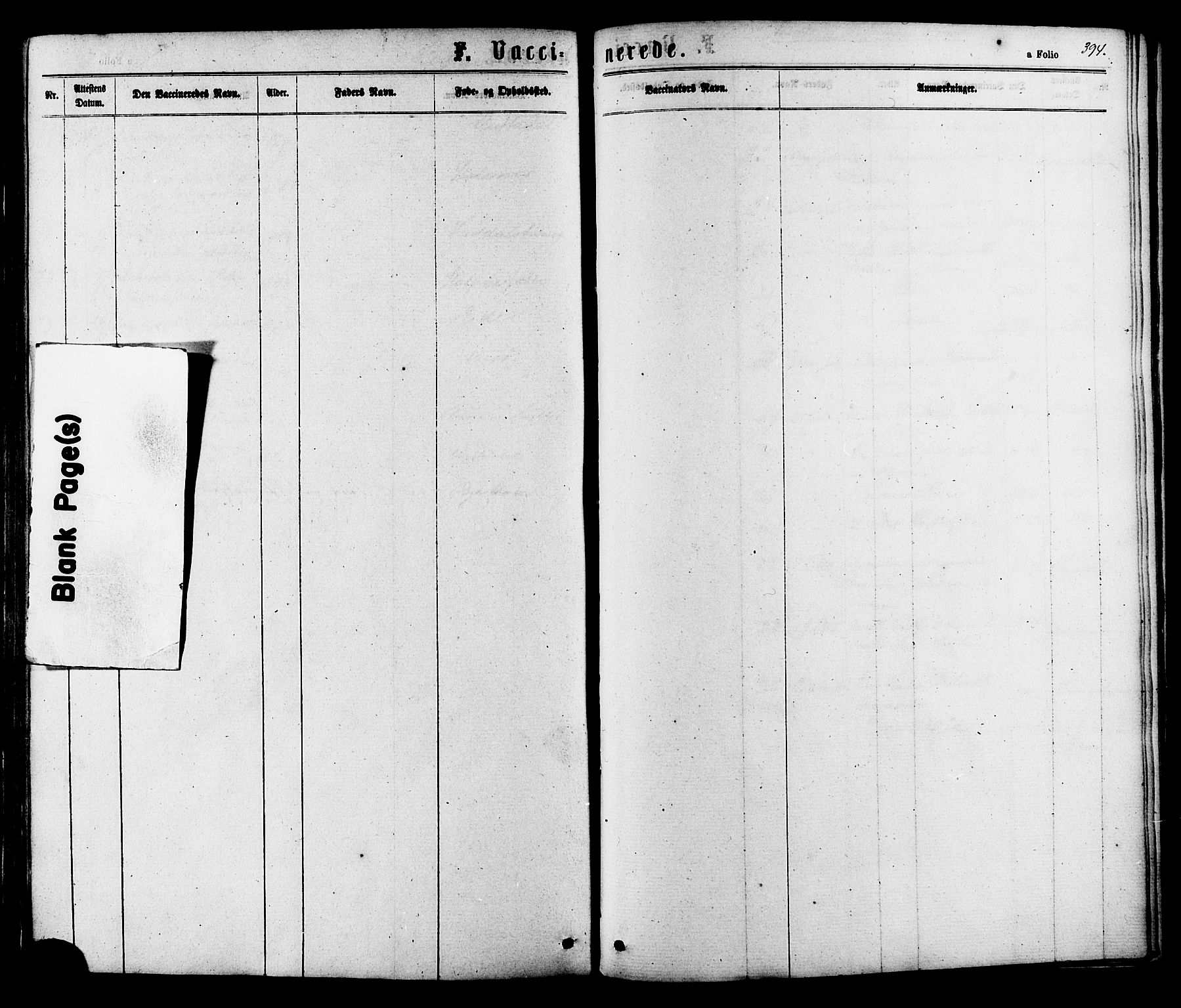 Ministerialprotokoller, klokkerbøker og fødselsregistre - Sør-Trøndelag, AV/SAT-A-1456/630/L0495: Ministerialbok nr. 630A08, 1868-1878, s. 394