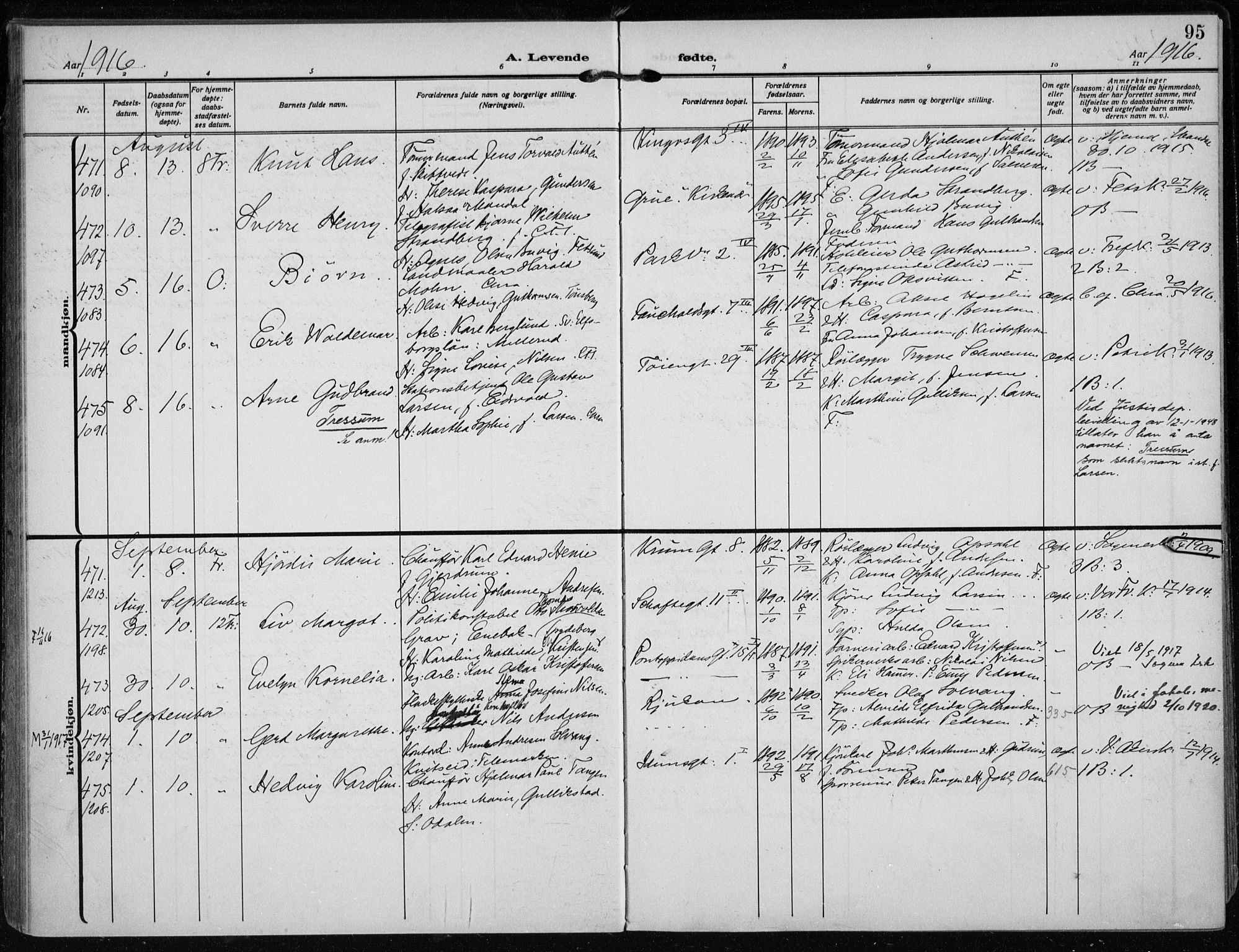 Rikshospitalet prestekontor Kirkebøker, AV/SAO-A-10309b/F/L0016: Ministerialbok nr. 16, 1916-1918, s. 95